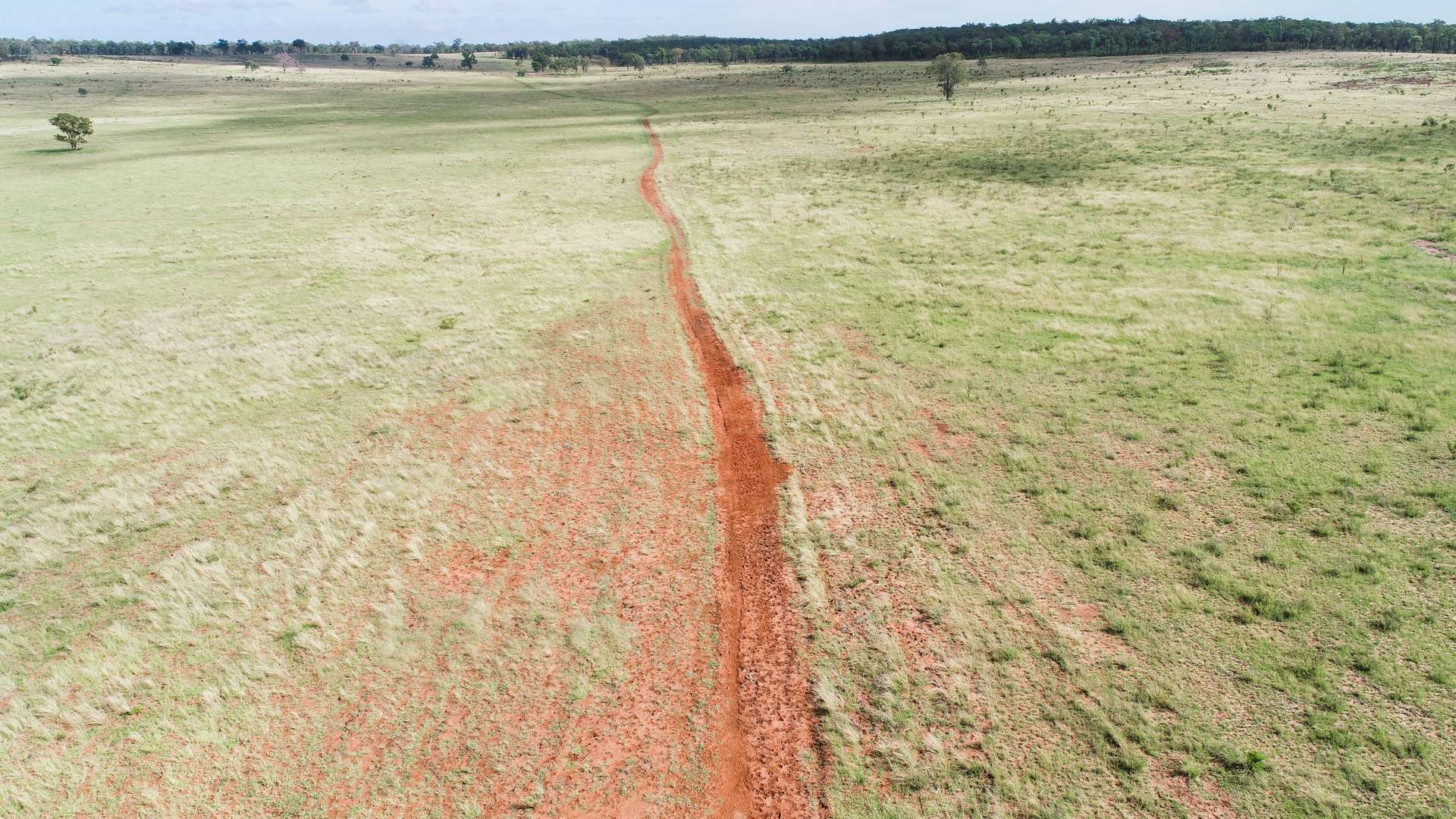 'Langley' 344 Clarke Creek Road, Dulacca For Sale by Farmbuy.com - image 9