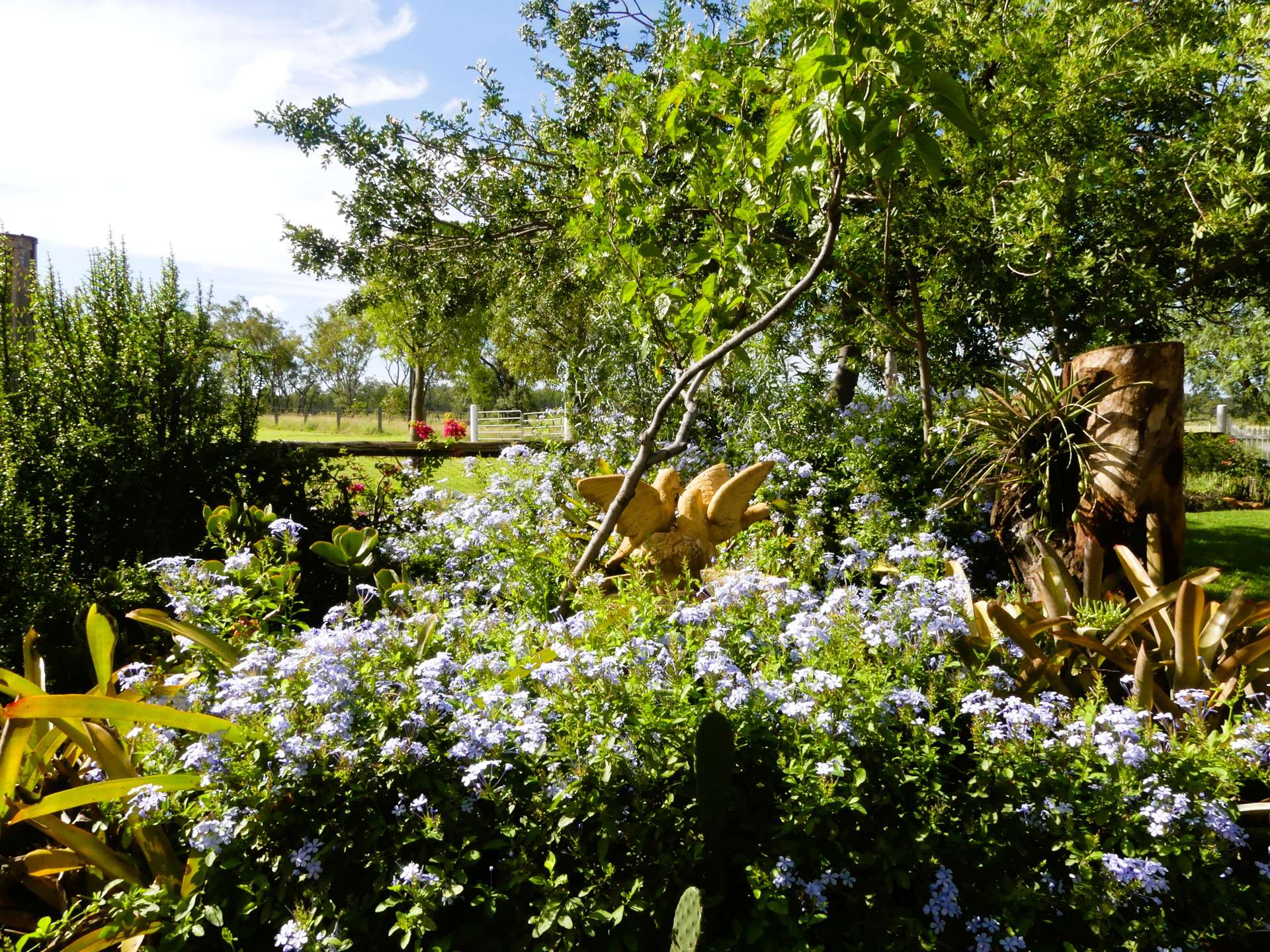 'Langley' 344 Clarke Creek Road, Dulacca For Sale by Farmbuy.com - image 7