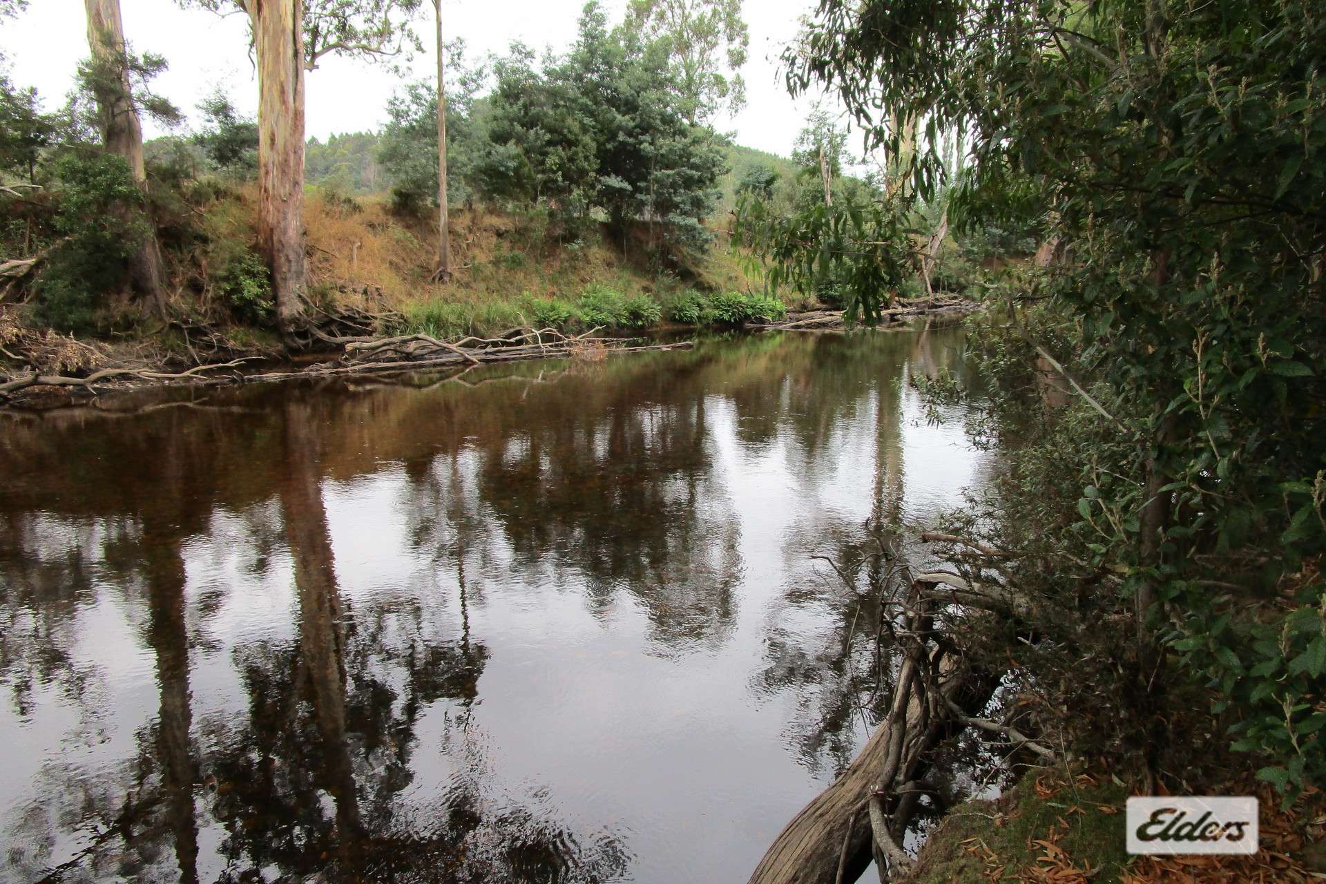 Lot 3 Jordans Road, North Motton For Sale by Farmbuy.com - image 4