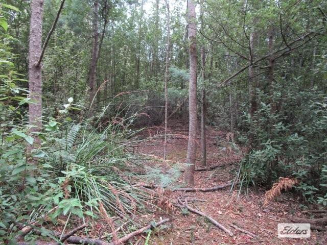 Lot 3 Jordans Road, North Motton For Sale by Farmbuy.com - image 10