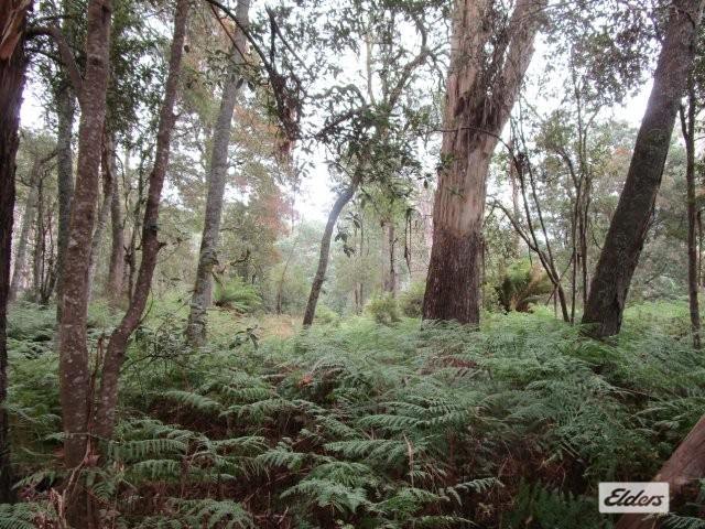 Lot 3 Jordans Road, North Motton For Sale by Farmbuy.com - image 12