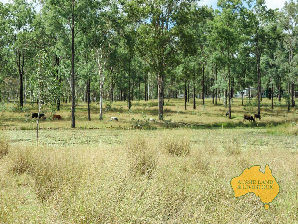 149 BURKES ROAD, Booie For Sale by Farmbuy.com - image 5