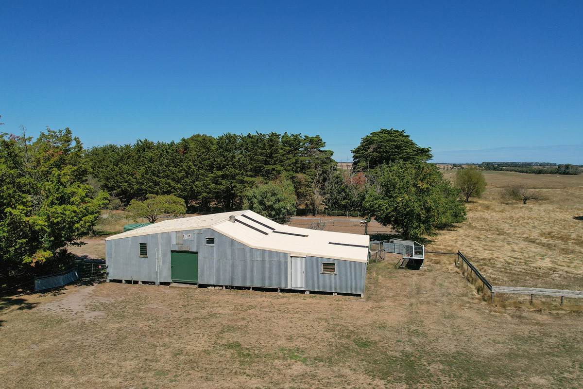 3606 Hopkins Highway, Ellerslie For Sale by Farmbuy.com - image 4