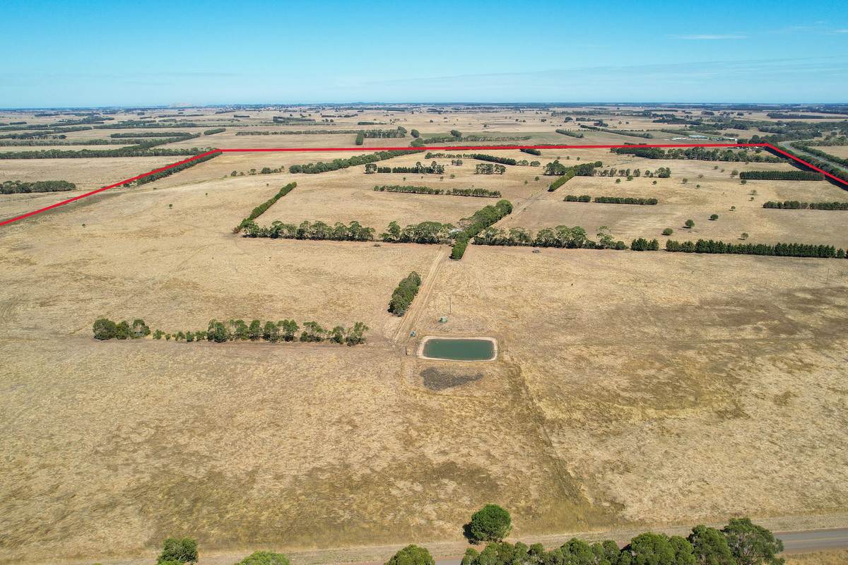 3606 Hopkins Highway, Ellerslie For Sale by Farmbuy.com - image 7