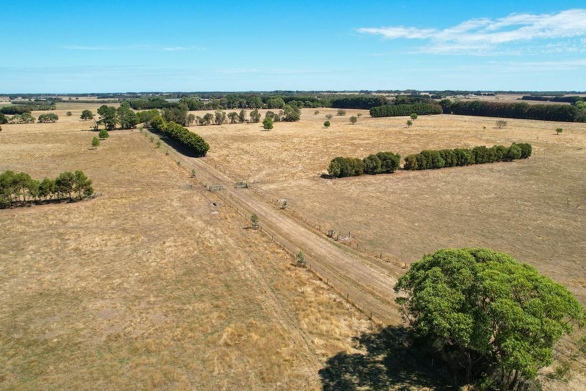 3606 Hopkins Highway, Ellerslie For Sale by Farmbuy.com - image 35