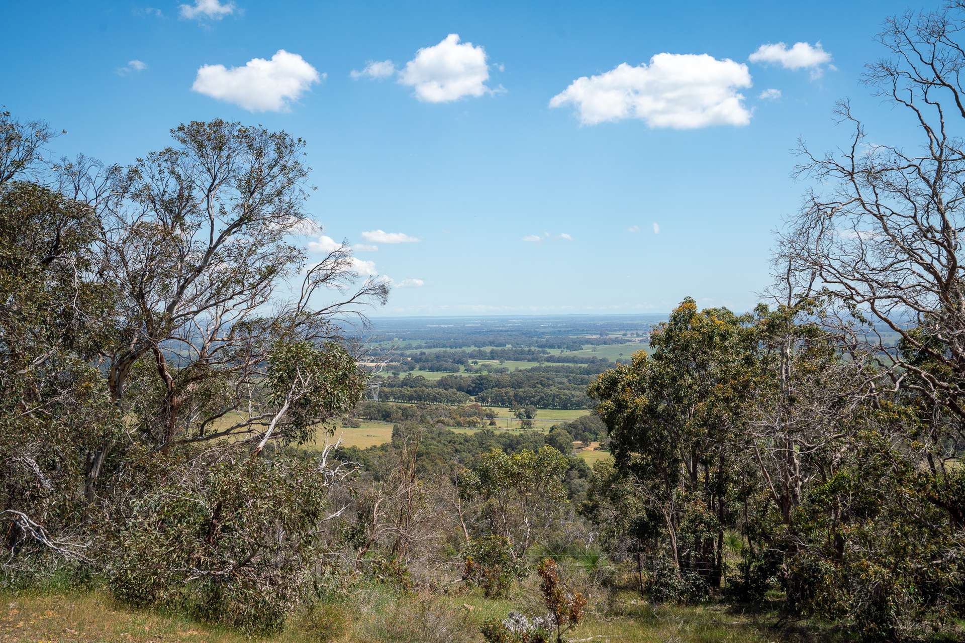 North Dandalup For Sale by Farmbuy.com - image 12