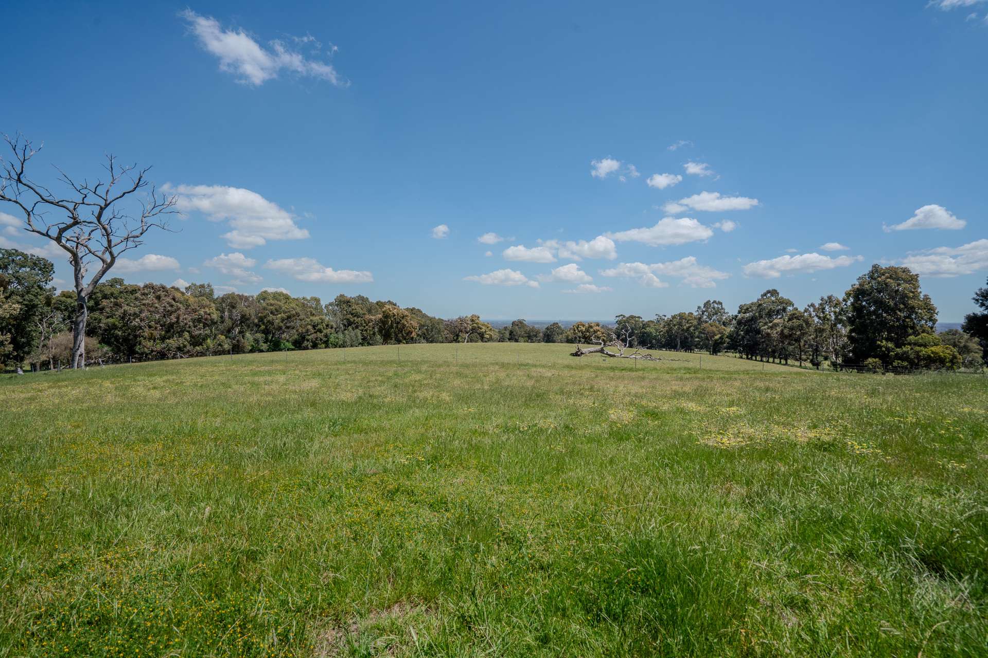North Dandalup For Sale by Farmbuy.com - image 3