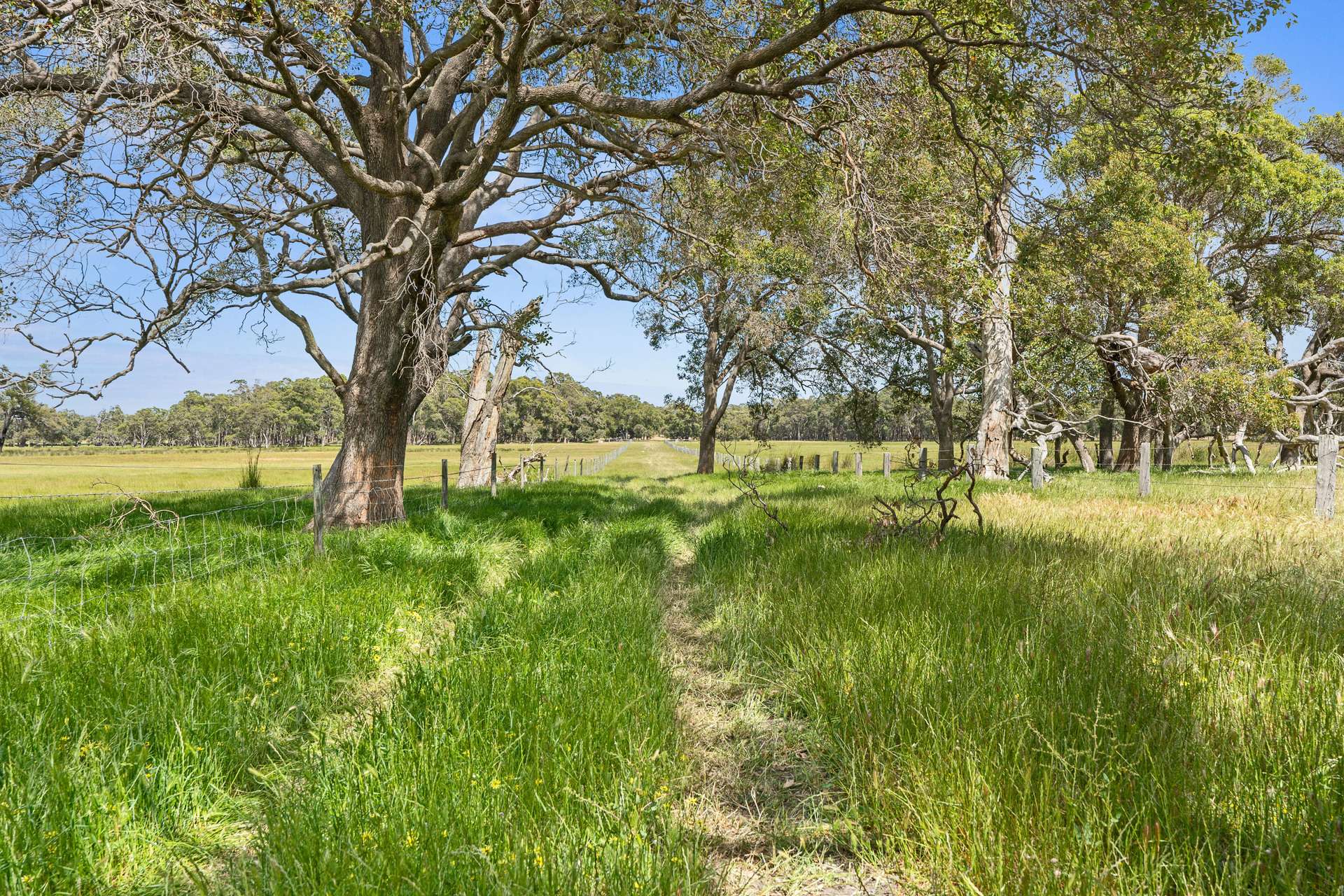4756 South Western Highway, North Dandalup For Sale by Farmbuy.com - image 3