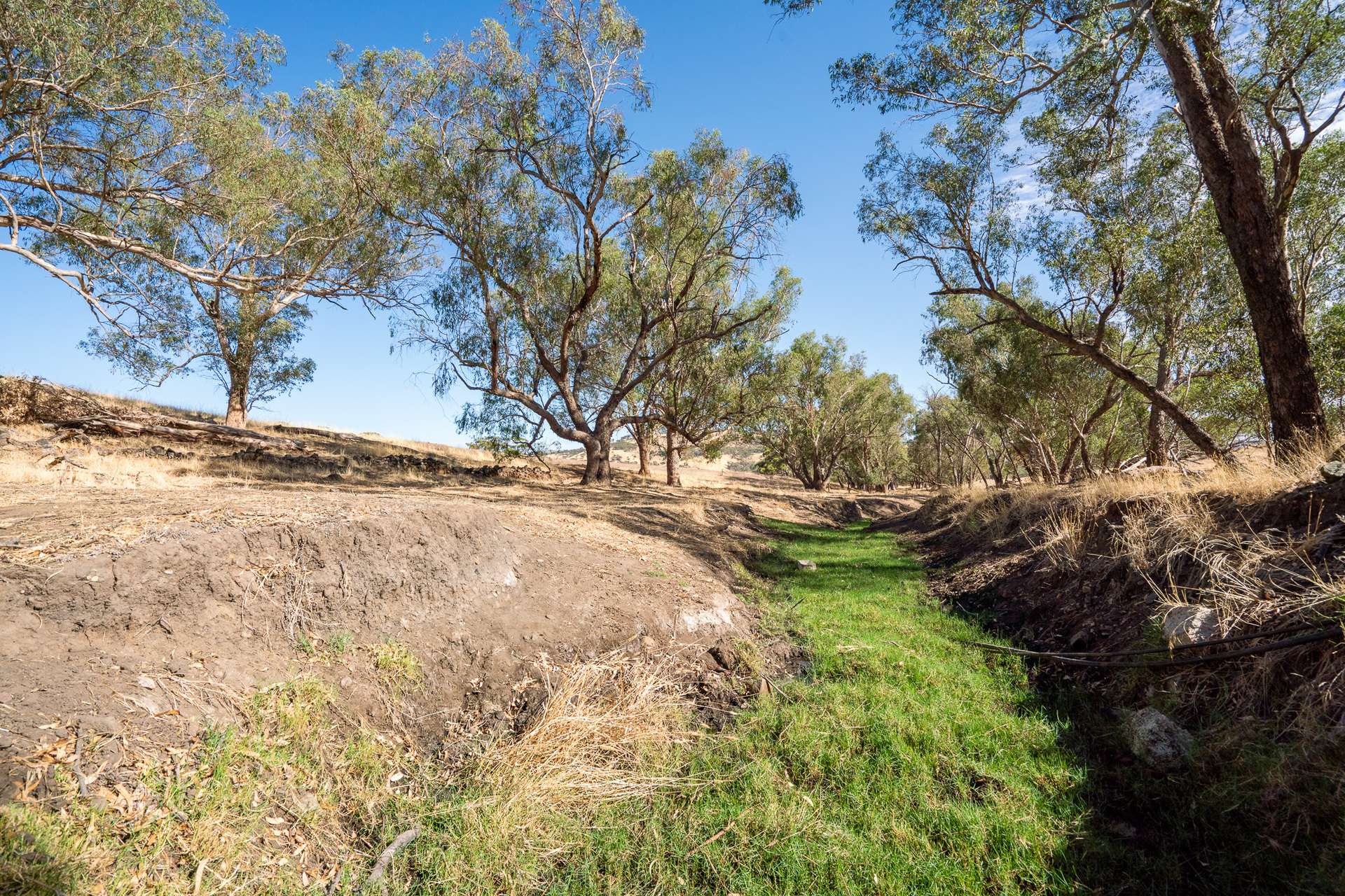 Toodyay For Sale by Farmbuy.com - image 11