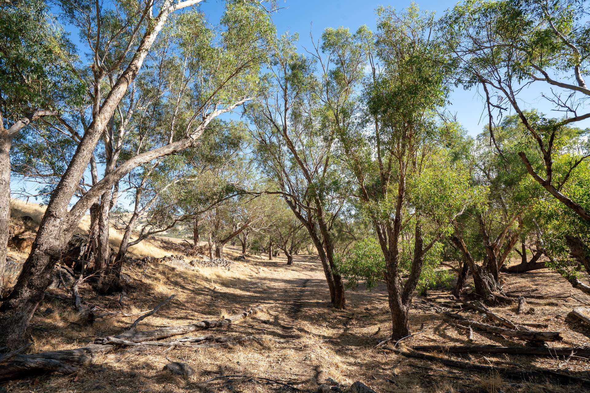 Toodyay For Sale by Farmbuy.com - image 10