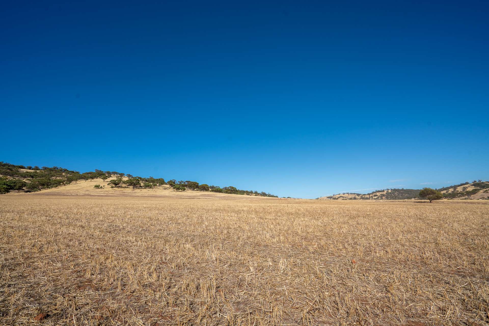 Toodyay For Sale by Farmbuy.com - image 6
