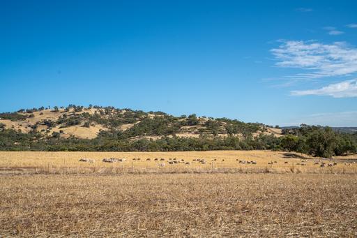 Farm For Sale - WA - Toodyay - 6566 - WATER, VIEWS & GRAZING 