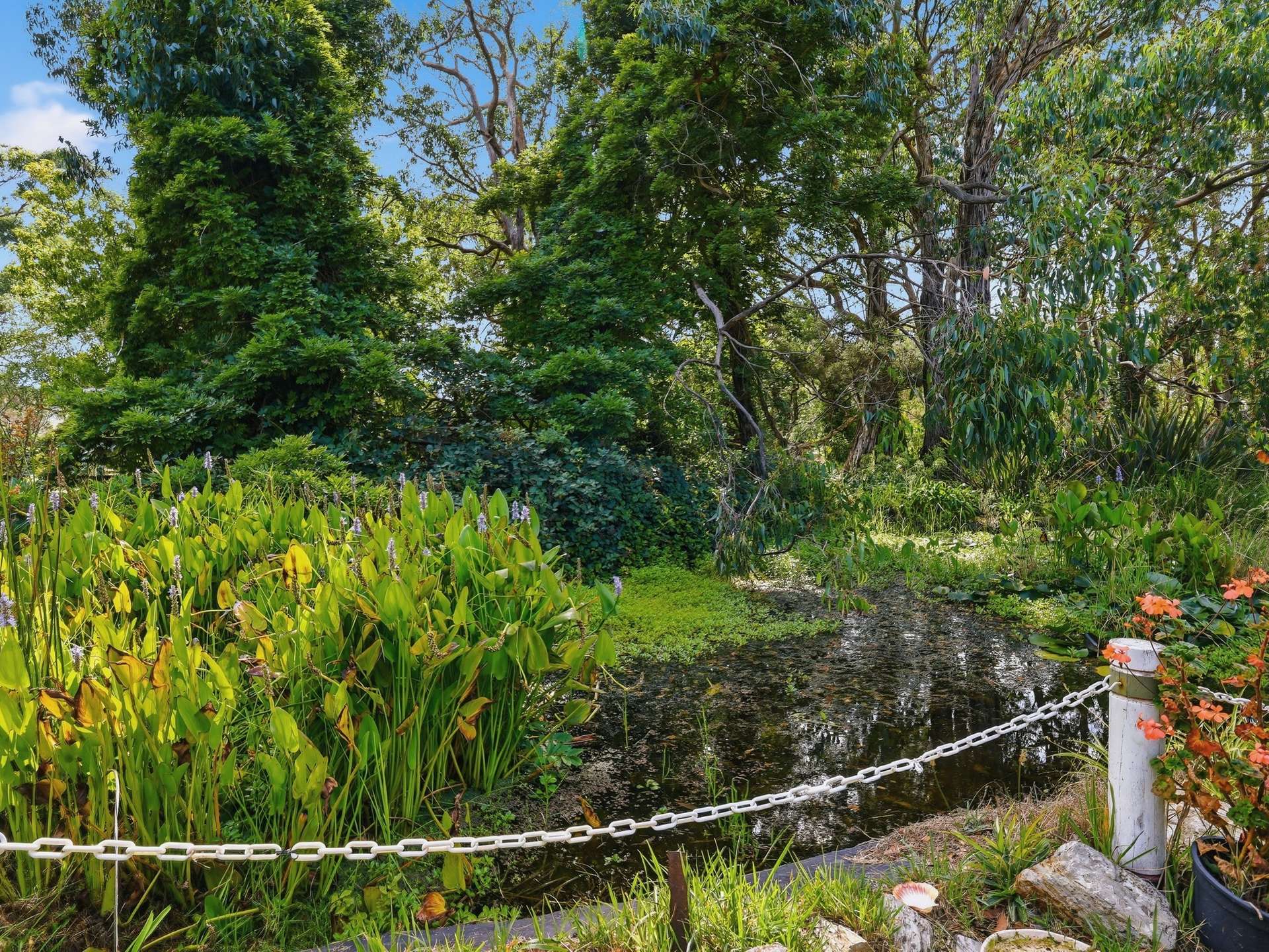 5620 South Gippsland Highway, Agnes For Sale by Farmbuy.com - image 17