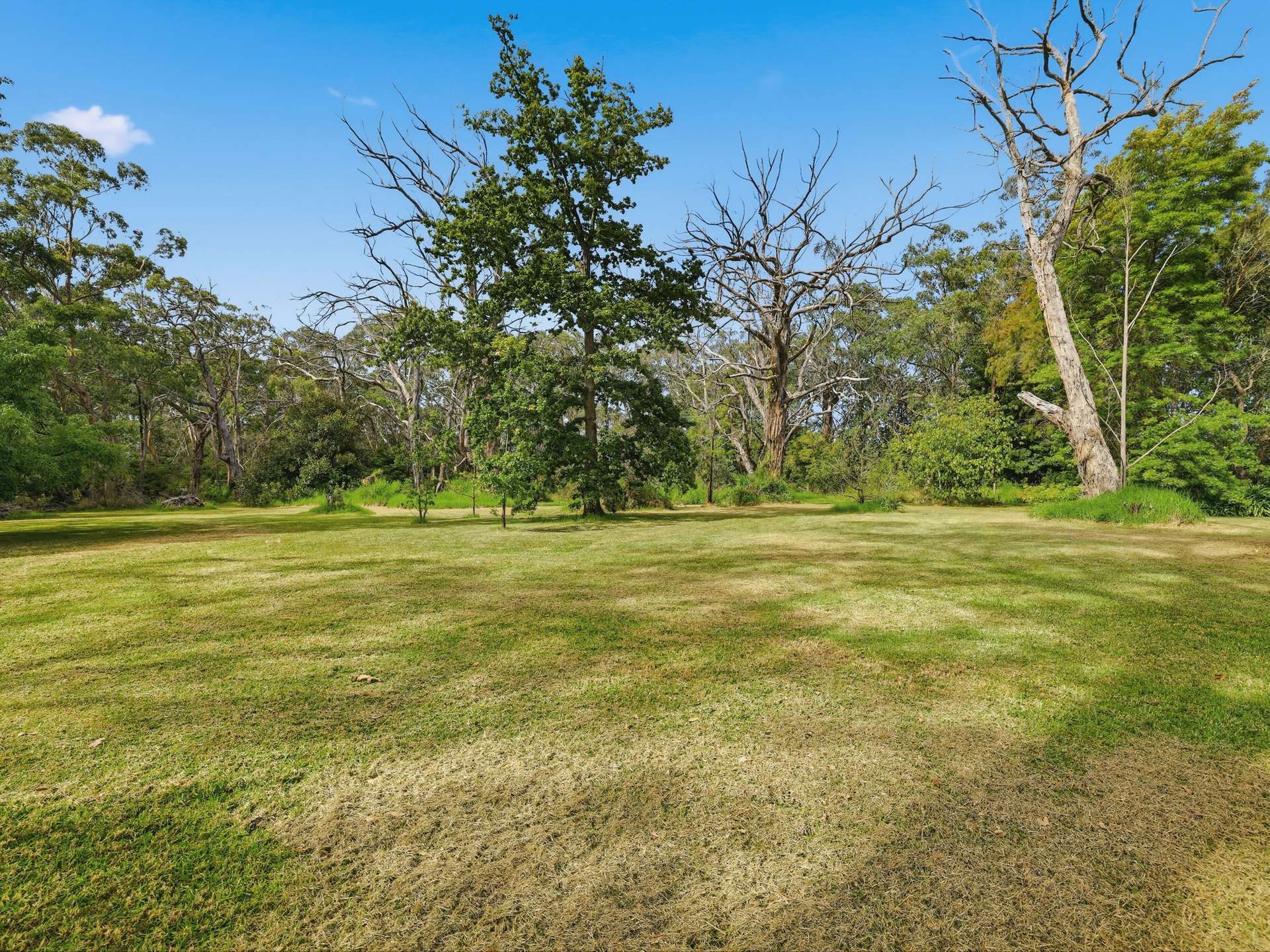 5620 South Gippsland Highway, Agnes For Sale by Farmbuy.com - image 25