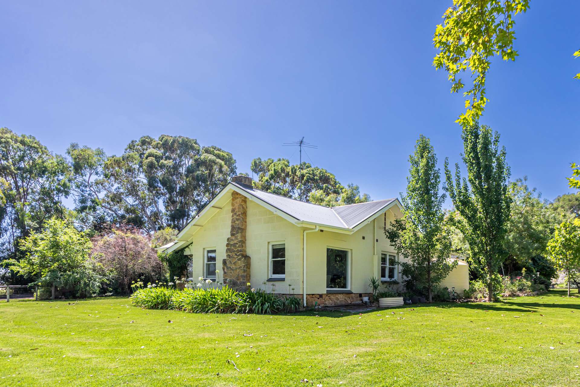 10991 Riddoch Highway, Naracoorte For Sale by Farmbuy.com - image 6