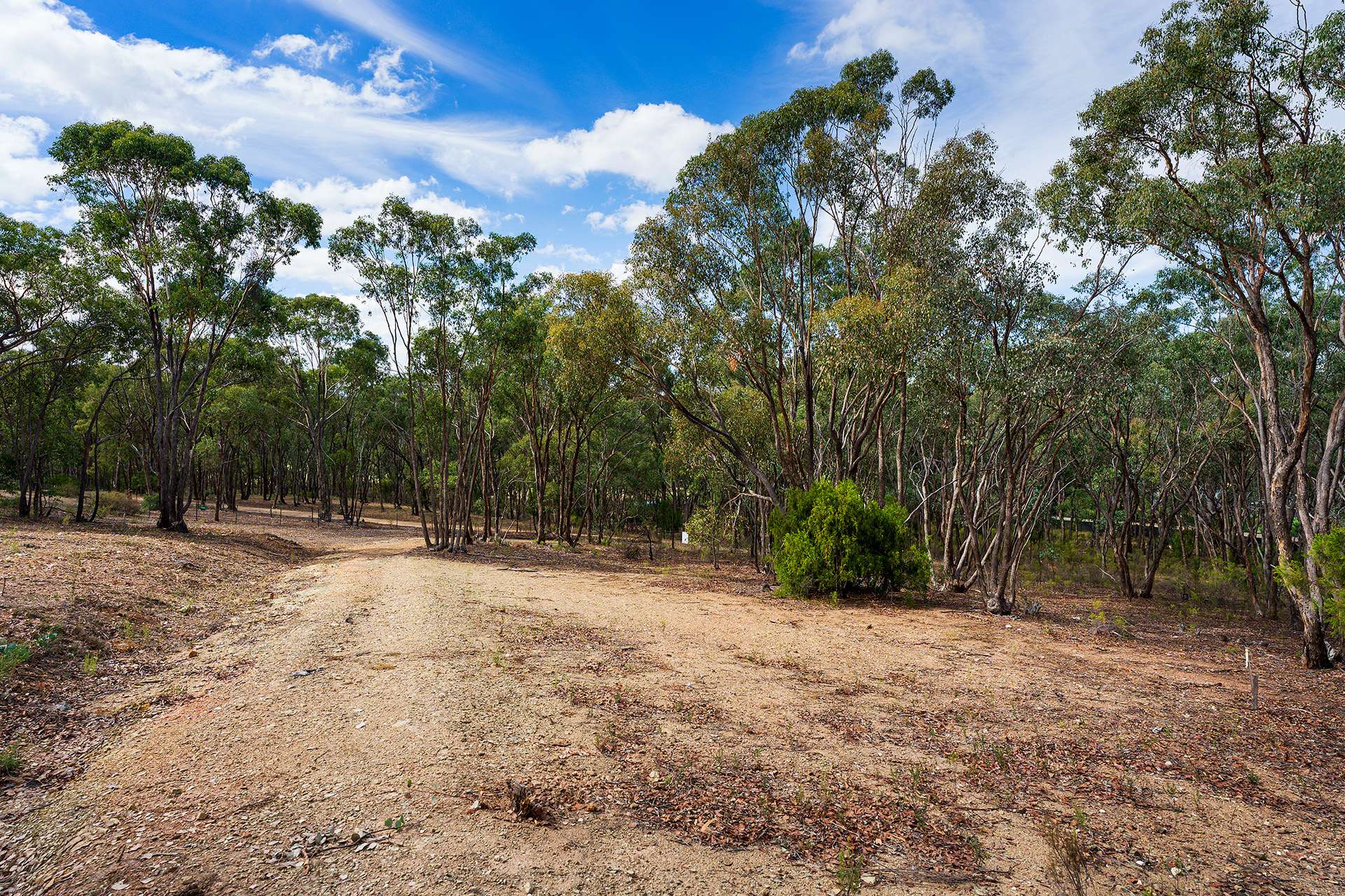 76 Ireland Street, McKenzie Hill For Sale by Farmbuy.com - image 10