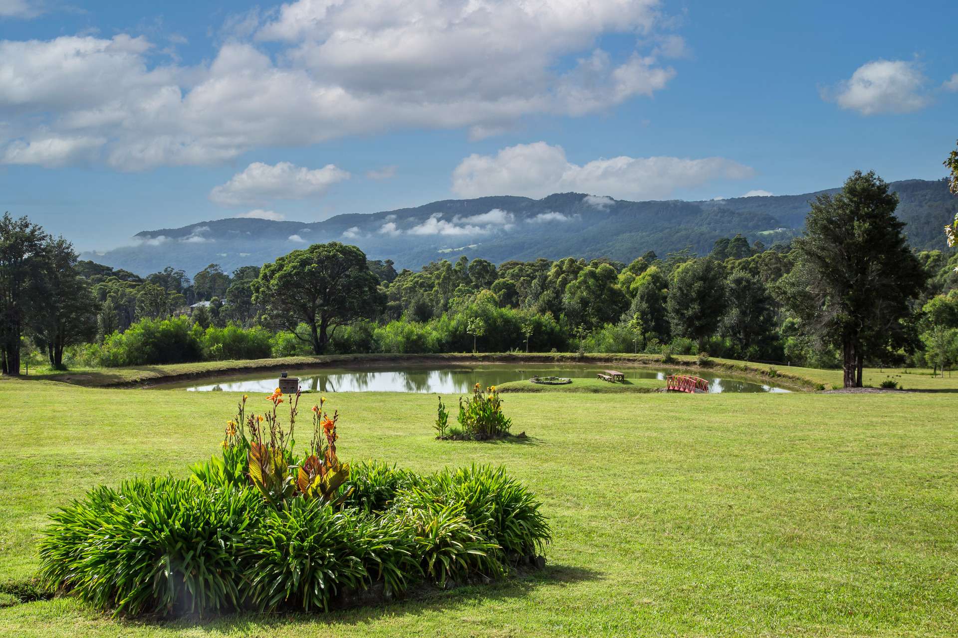 18 Radiata Road, Kangaroo Valley For Sale by Farmbuy.com - image 2