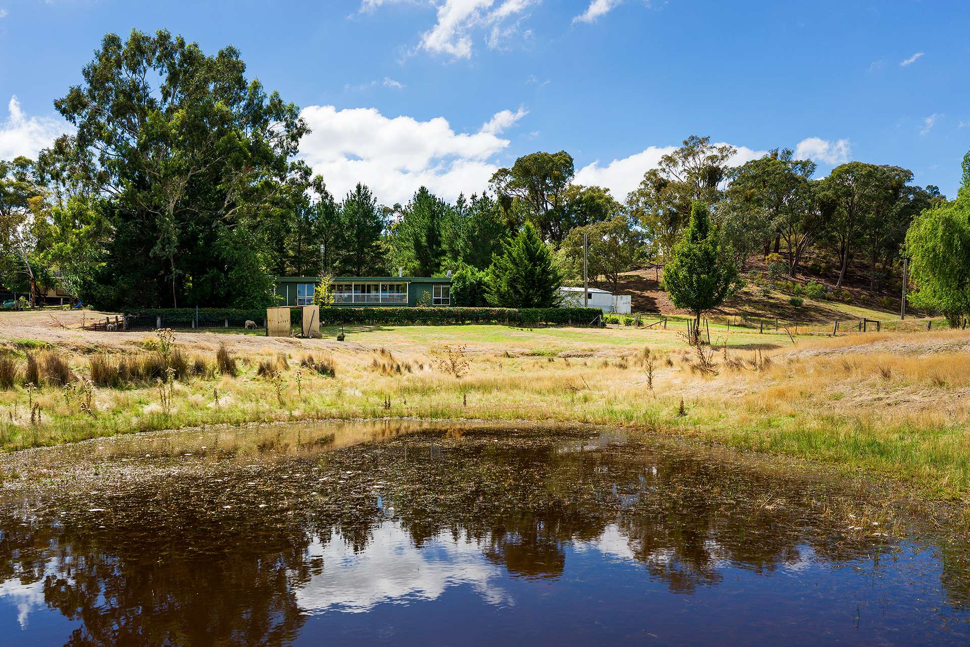 3 Mccay Reservoir Road, Chewton For Sale by Farmbuy.com - image 18