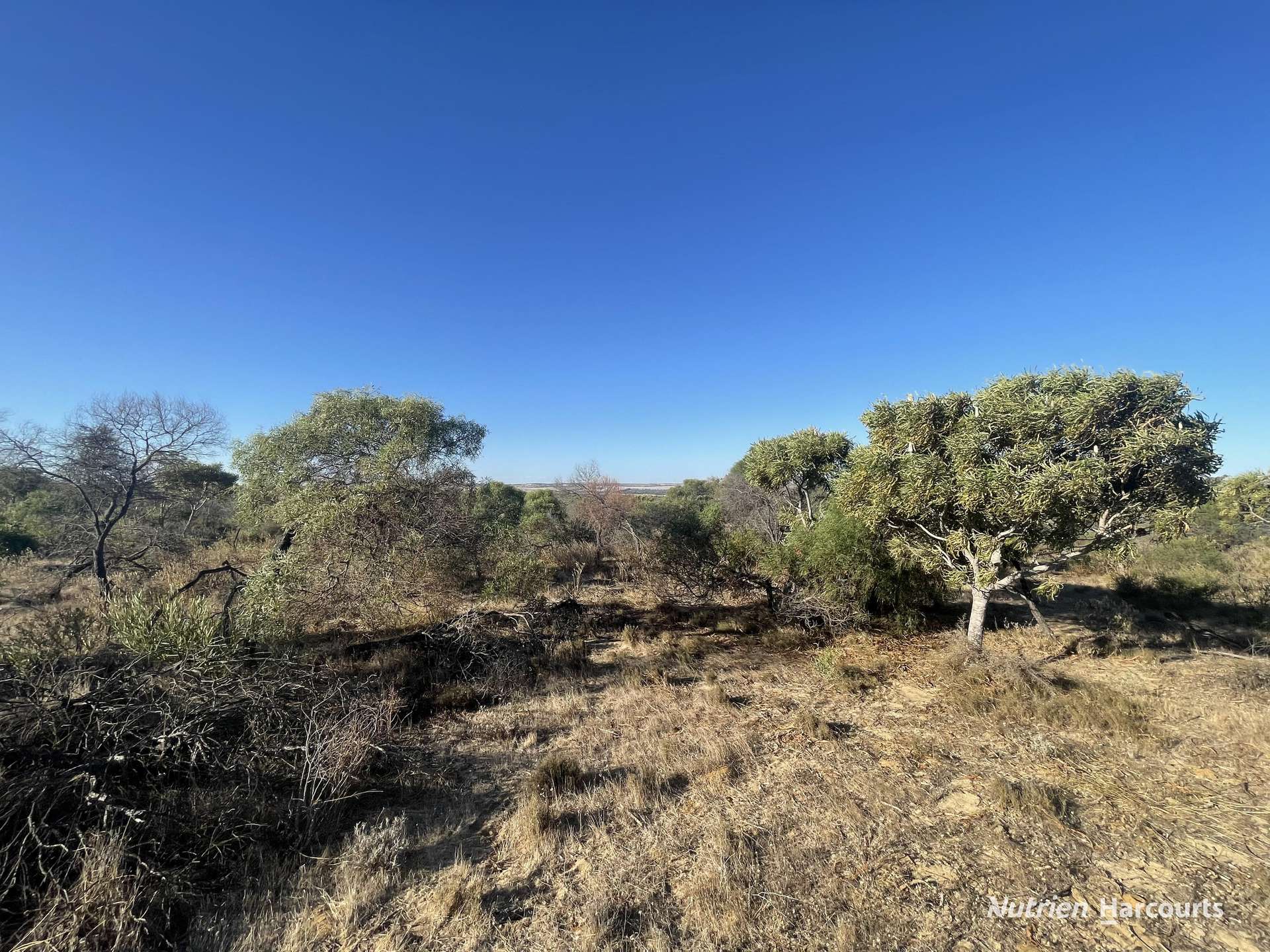 Lot 2691 Fraser Road, Walkaway For Sale by Farmbuy.com - image 8