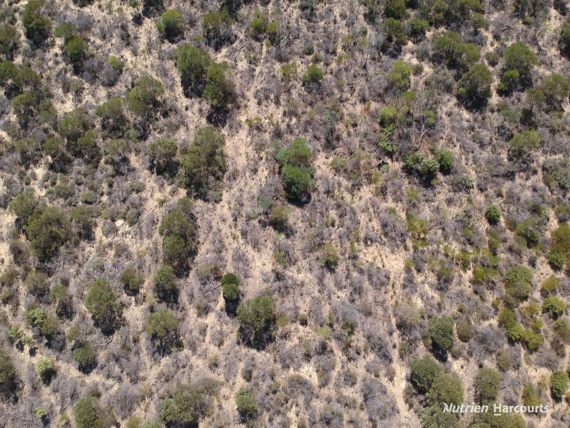 Lot 2691 Fraser Road, Walkaway For Sale by Farmbuy.com - image 5