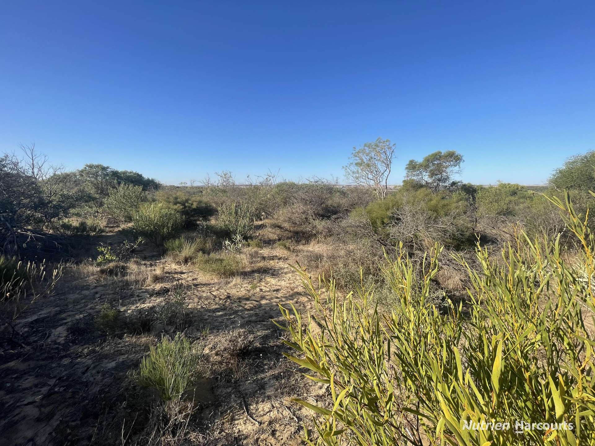 Lot 2691 Fraser Road, Walkaway For Sale by Farmbuy.com - image 6