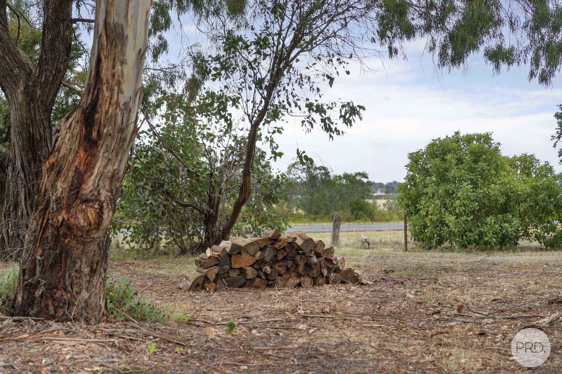 167 Haddon School Road, Haddon For Sale by Farmbuy.com - image 19