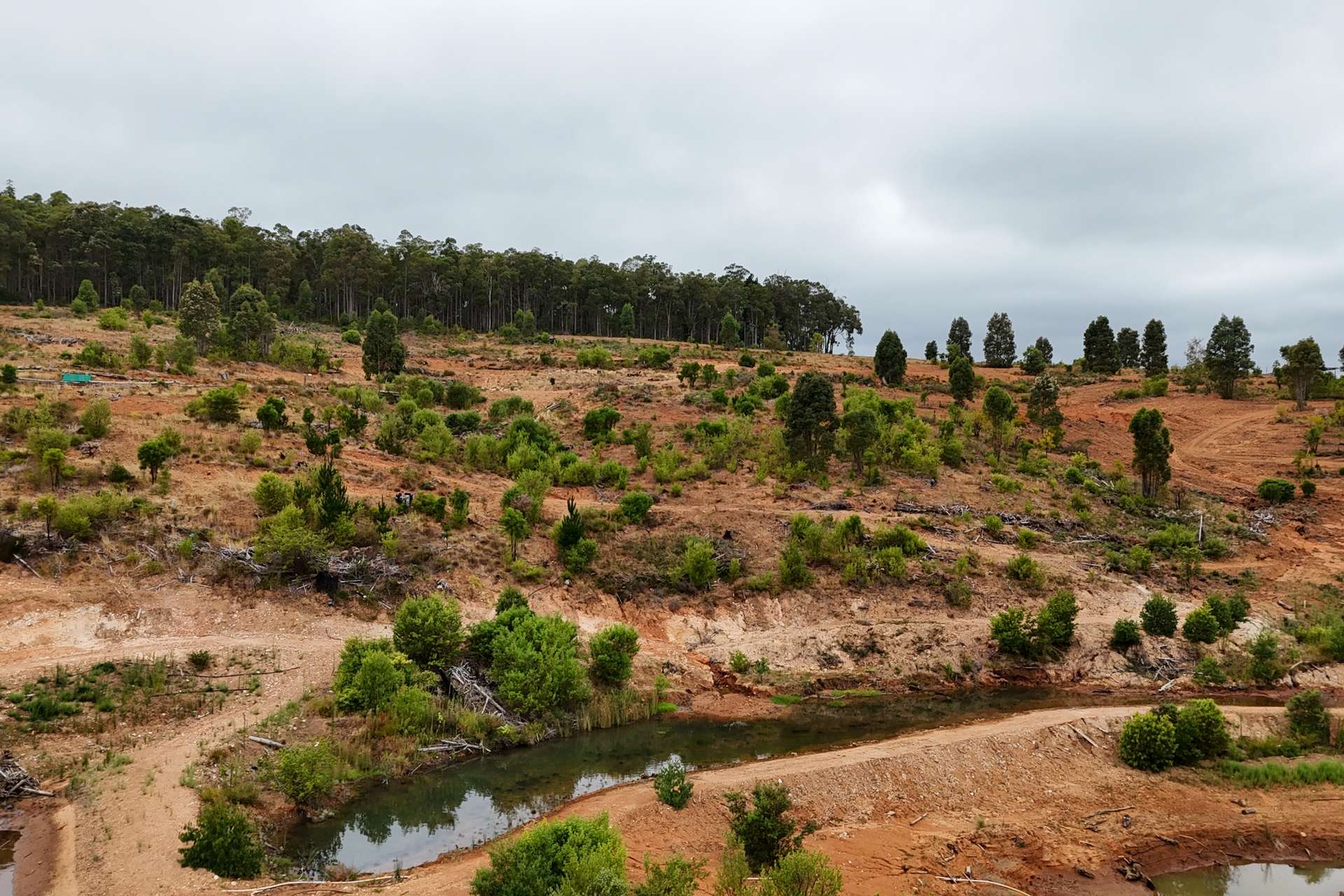 Lot 100 Brockman Highway, East Nannup For Sale by Farmbuy.com - image 3
