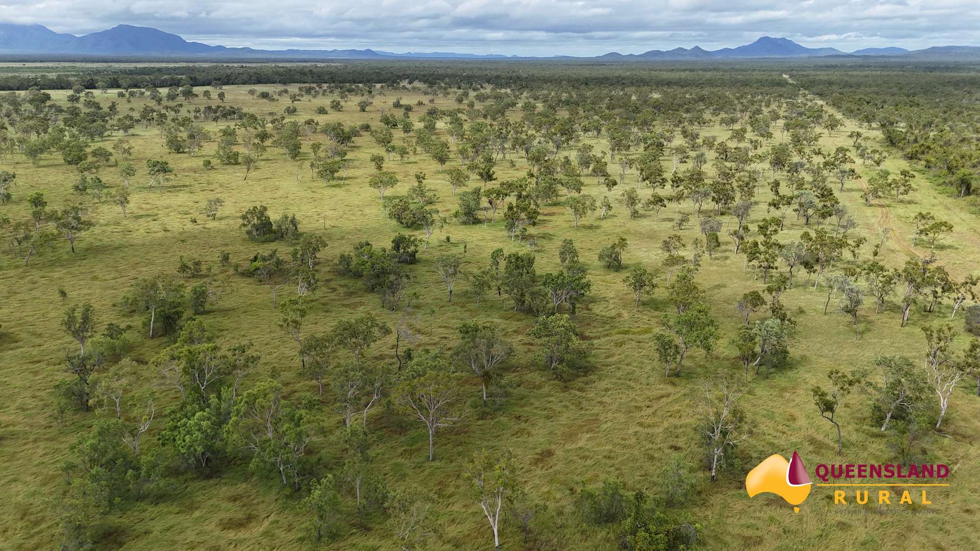 Gumlu For Sale by Farmbuy.com - image 3