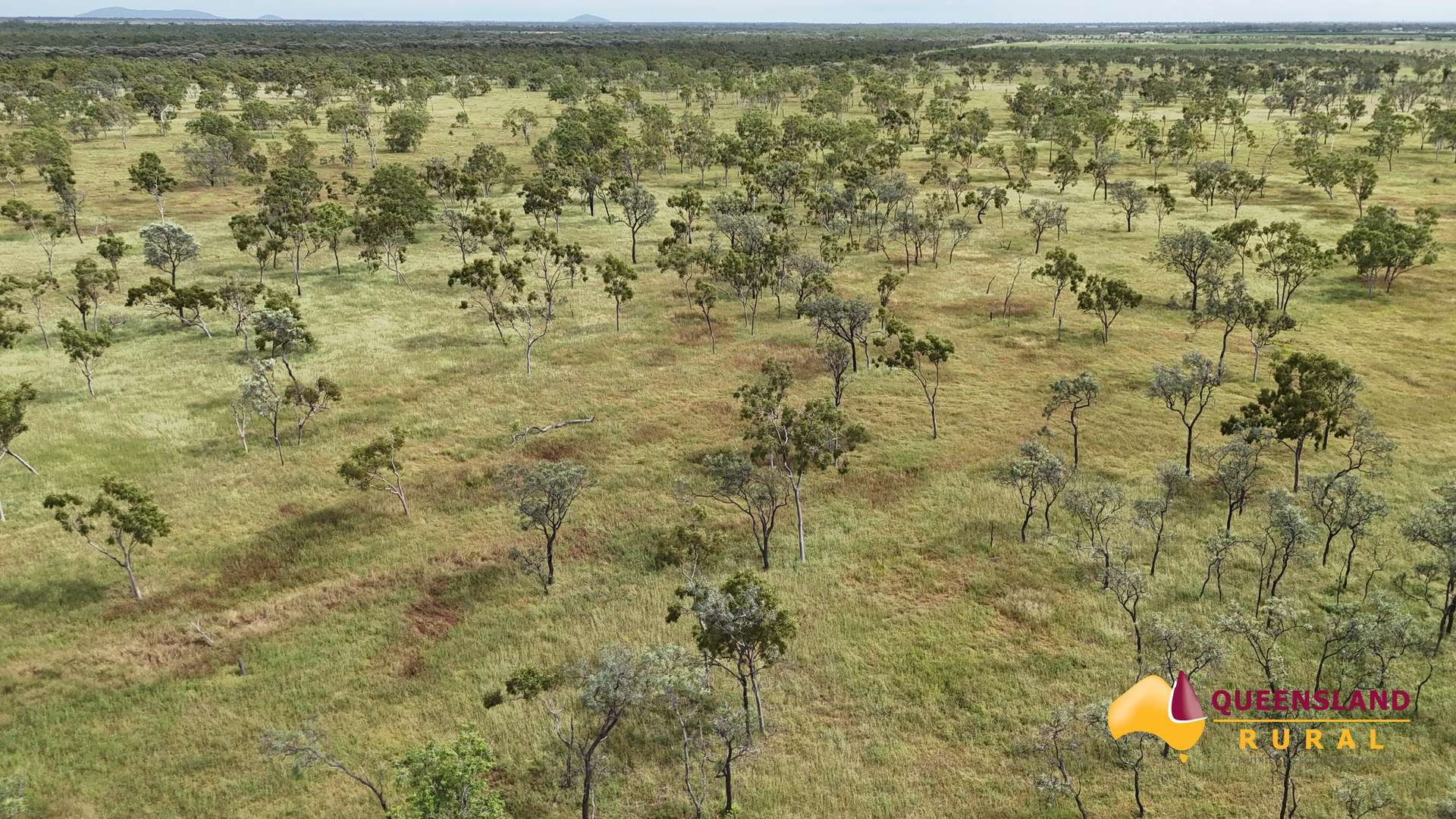 Gumlu For Sale by Farmbuy.com - image 12