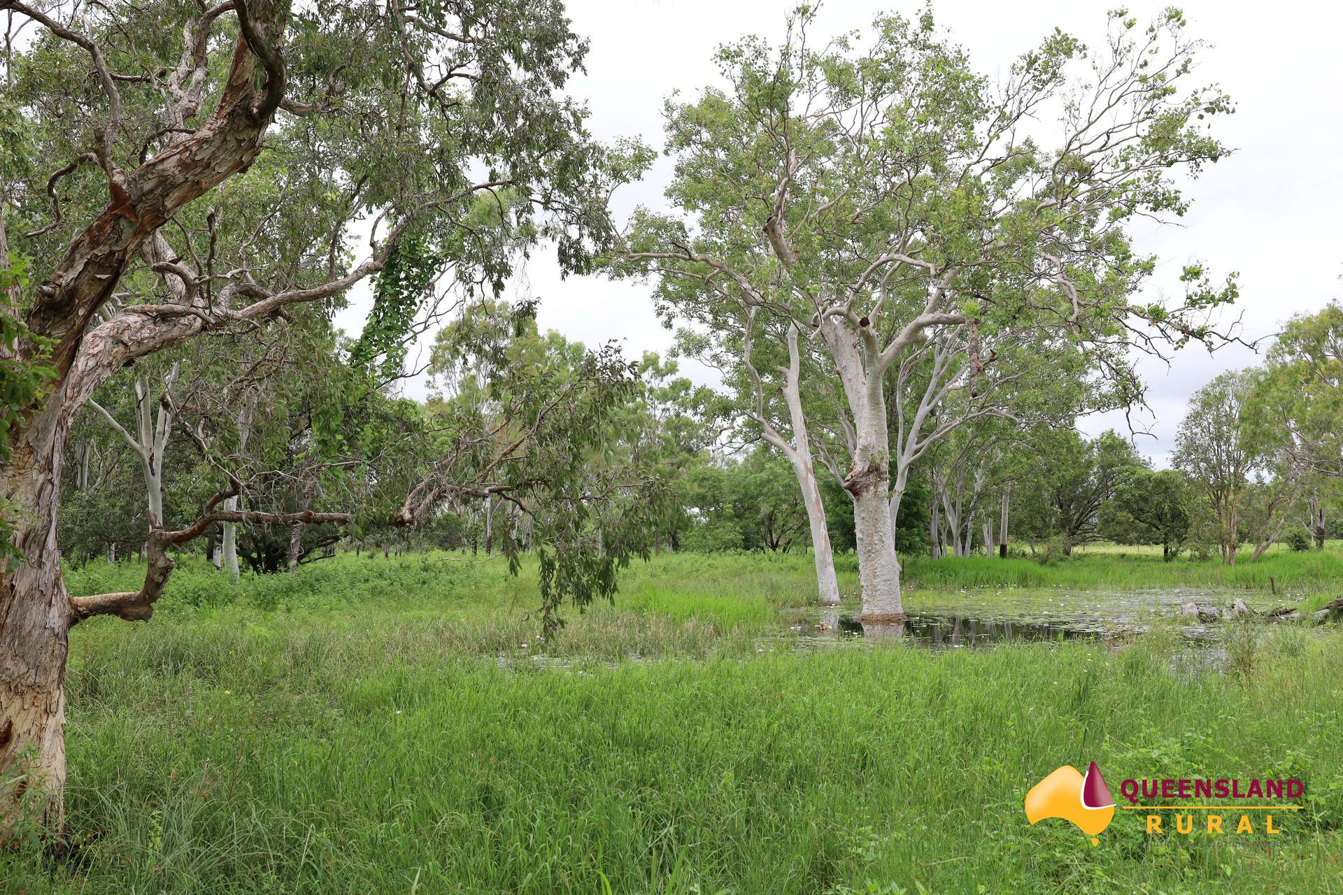 Gumlu For Sale by Farmbuy.com - image 9