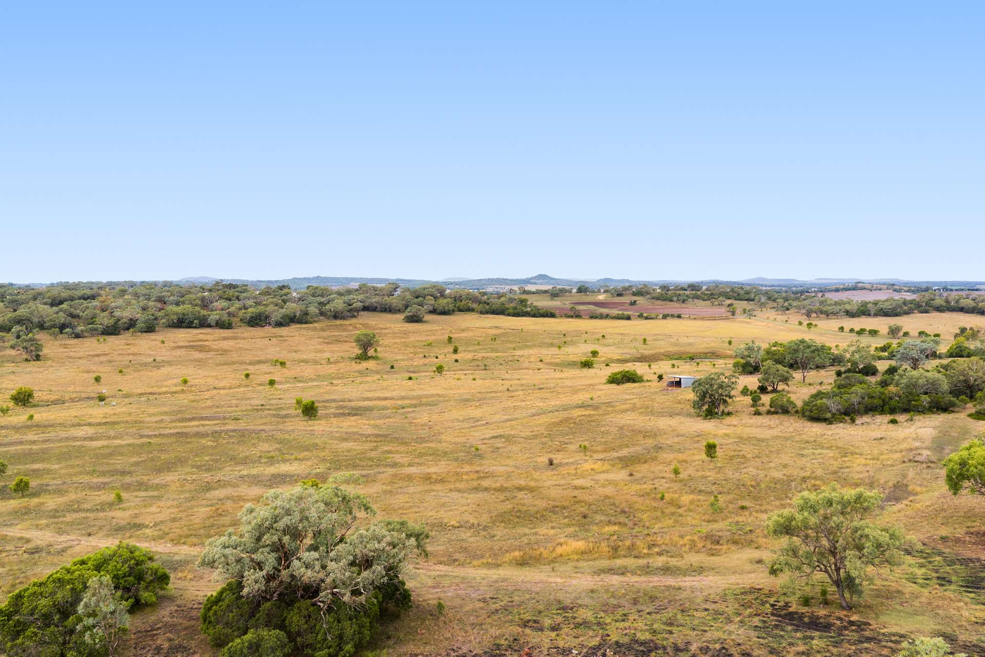 'Spring Valley' Lot 1 Kelly Road, Scrubby Mountain Auction by Farmbuy.com - image 8