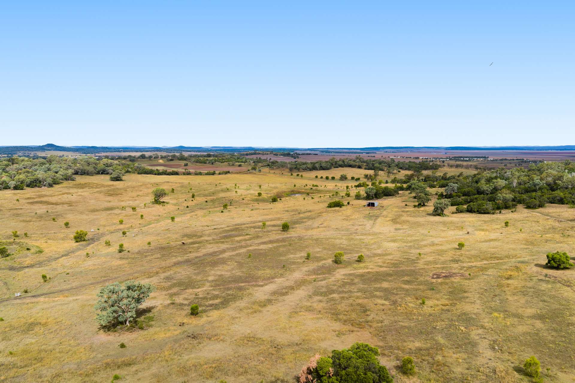 'Spring Valley' Lot 1 Kelly Road, Scrubby Mountain Auction by Farmbuy.com - image 16