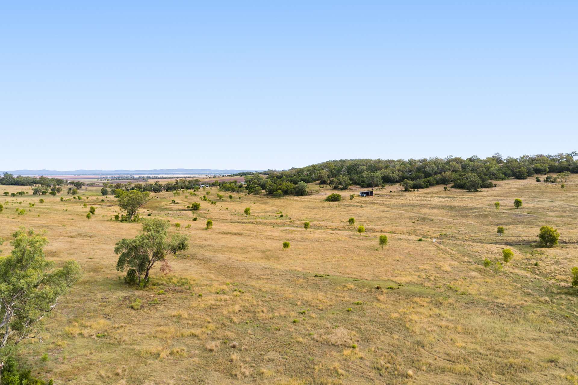 'Spring Valley' Lot 1 Kelly Road, Scrubby Mountain Auction by Farmbuy.com - image 11