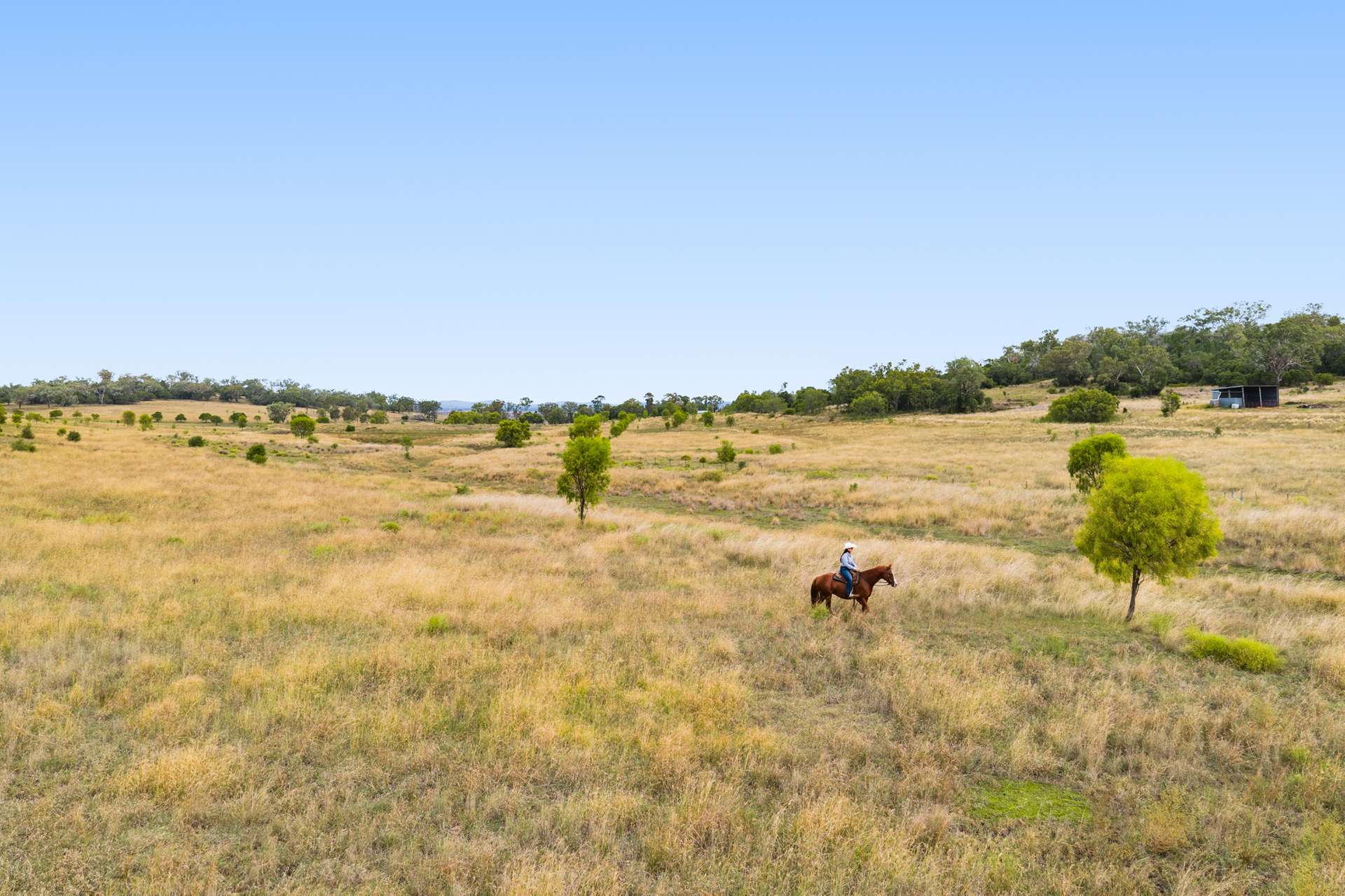 'Spring Valley' Lot 1 Kelly Road, Scrubby Mountain Auction by Farmbuy.com - image 7