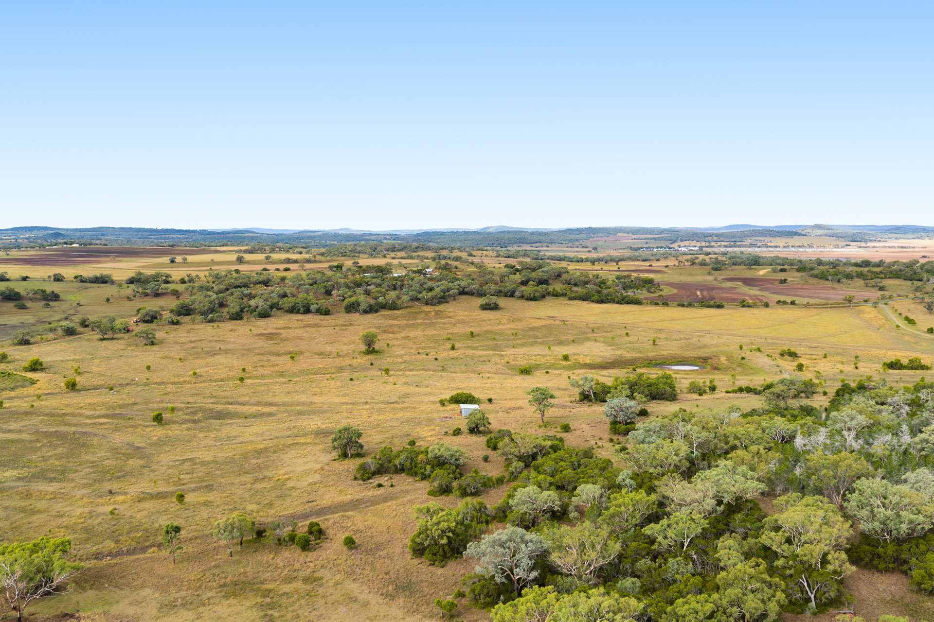'Spring Valley' Lot 1 Kelly Road, Scrubby Mountain Auction by Farmbuy.com - image 12