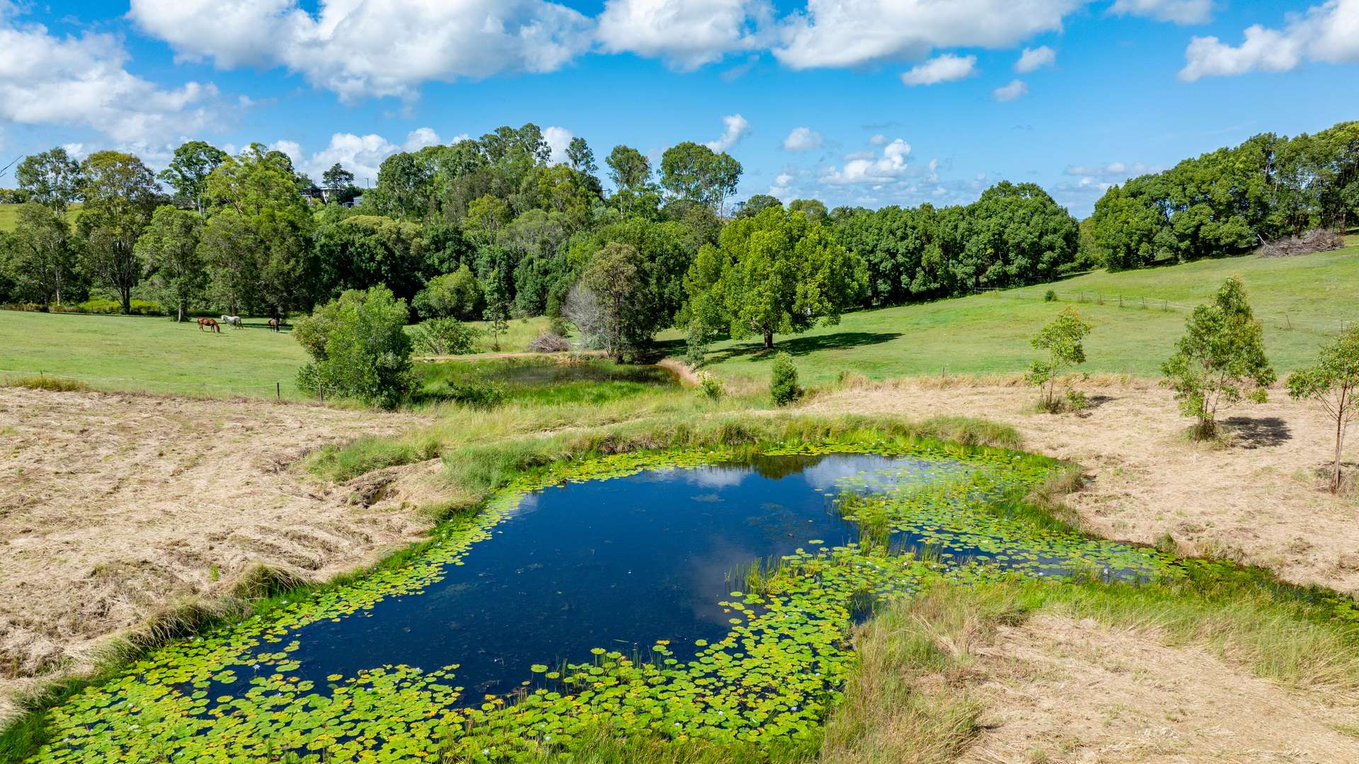 38 Winterleigh Way, Greens Creek For Sale by Farmbuy.com - image 4