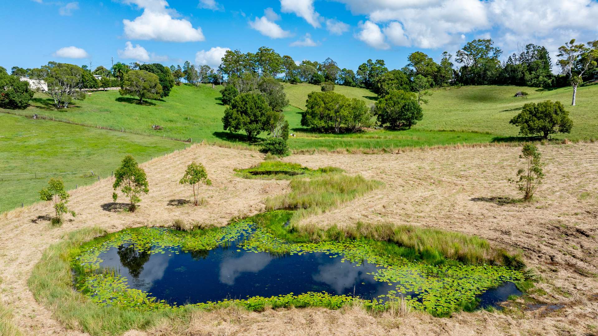 38 Winterleigh Way, Greens Creek For Sale by Farmbuy.com - image 4