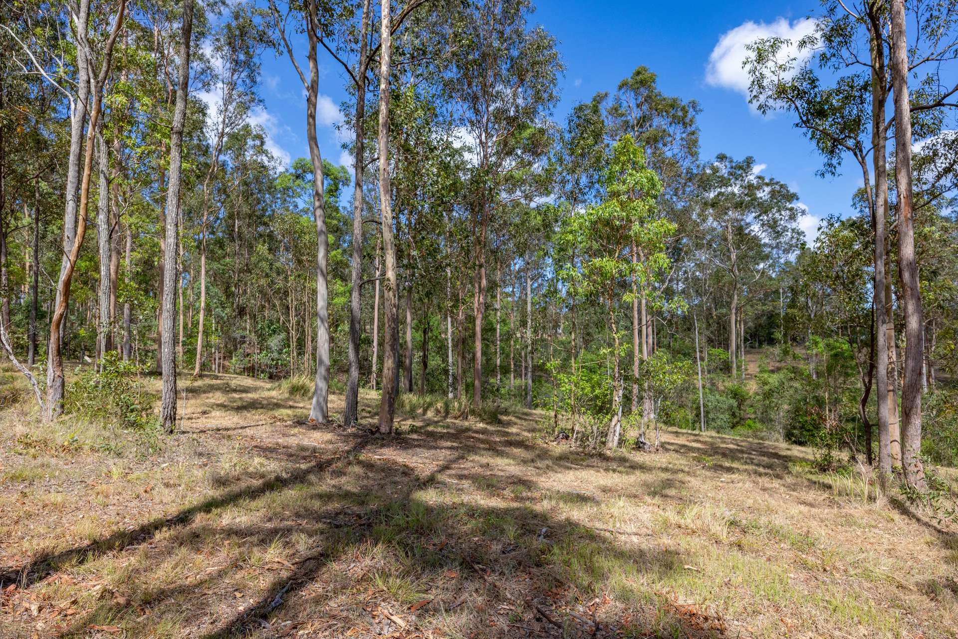 125 Tamaree Road, Tamaree For Sale by Farmbuy.com - image 5