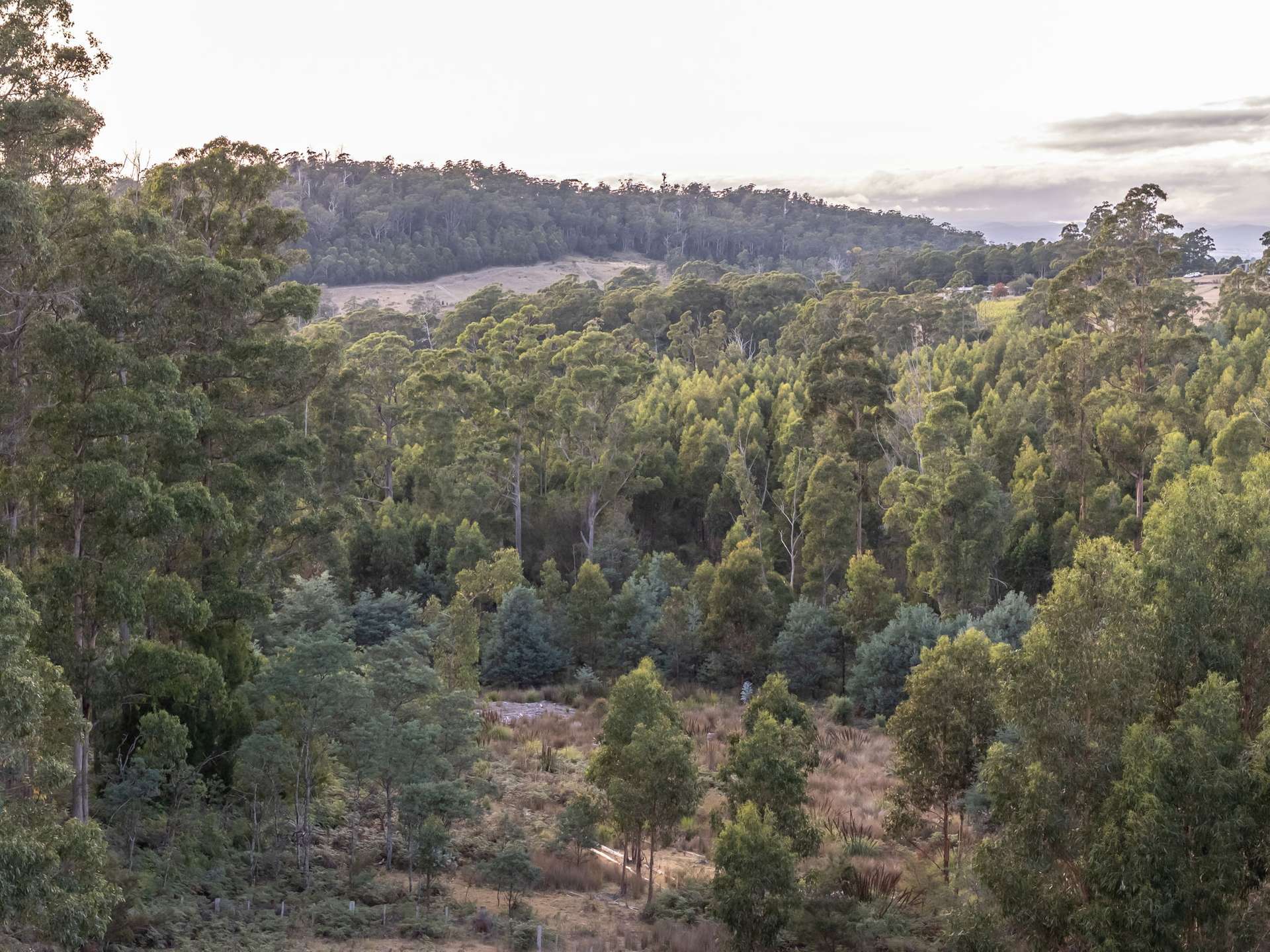 1 Glendale Road, Sidmouth For Sale by Farmbuy.com - image 16