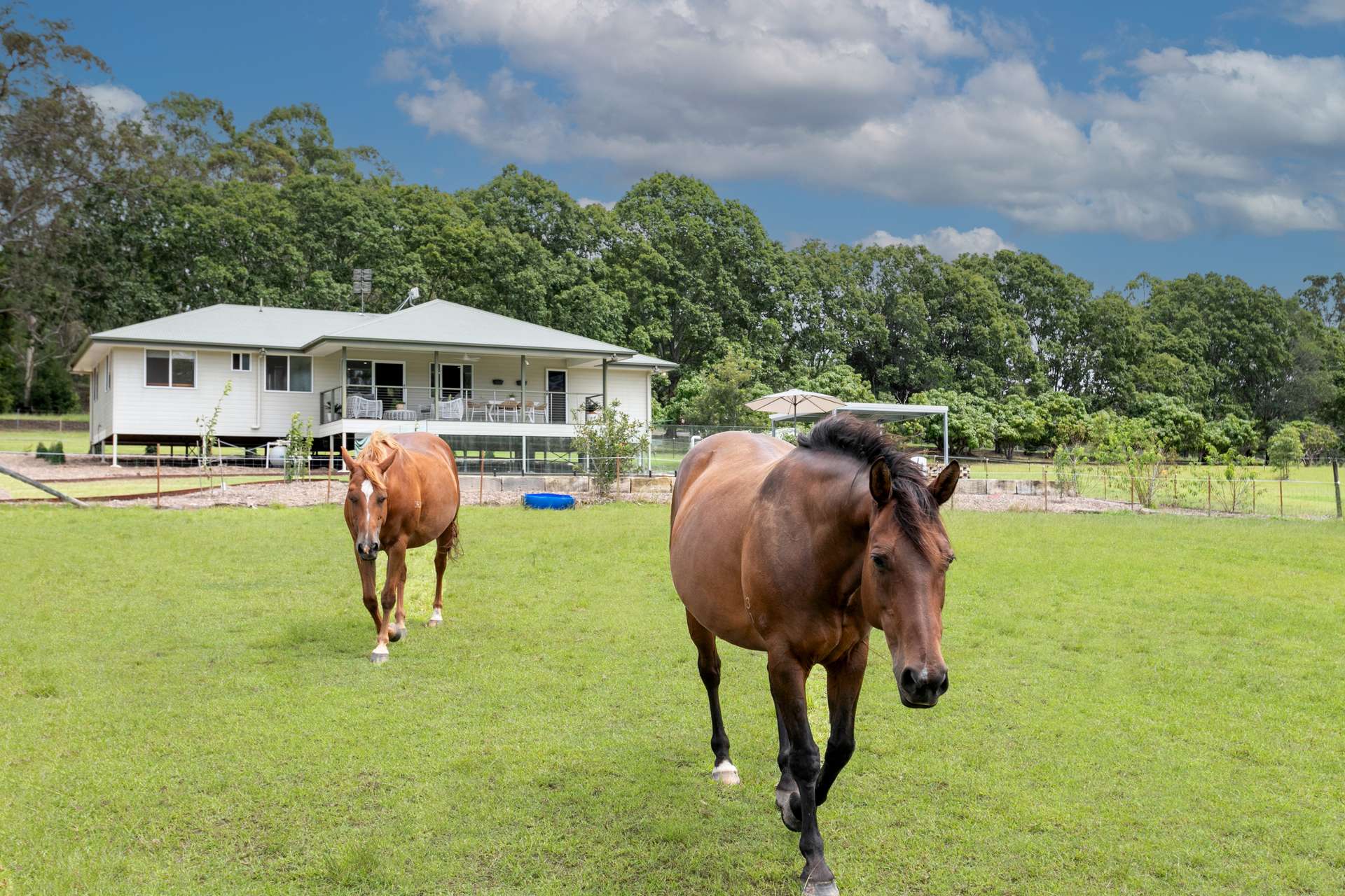 46 Knobby Glen Road, Kandanga For Sale by Farmbuy.com - image 3