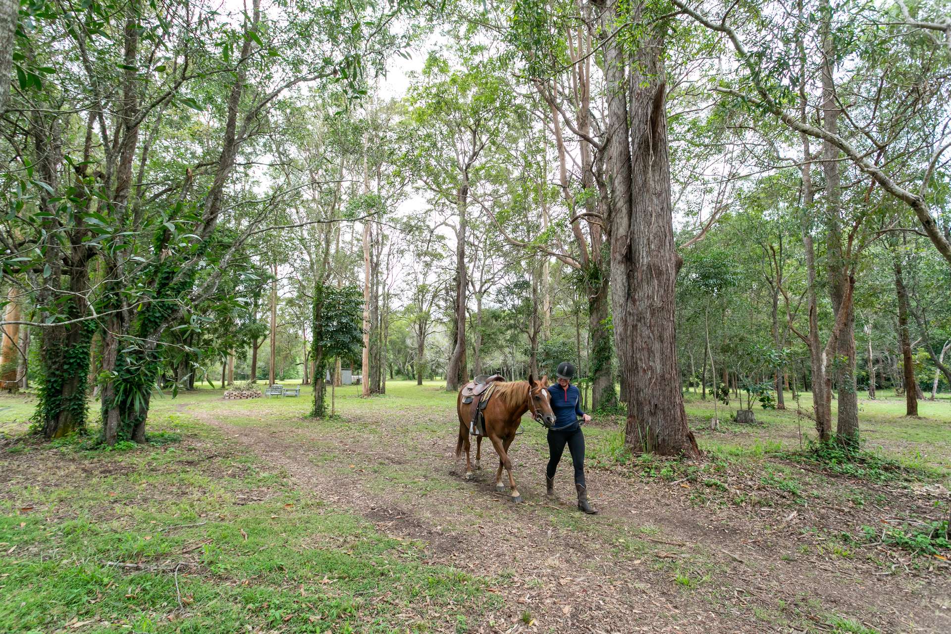 46 Knobby Glen Road, Kandanga For Sale by Farmbuy.com - image 27