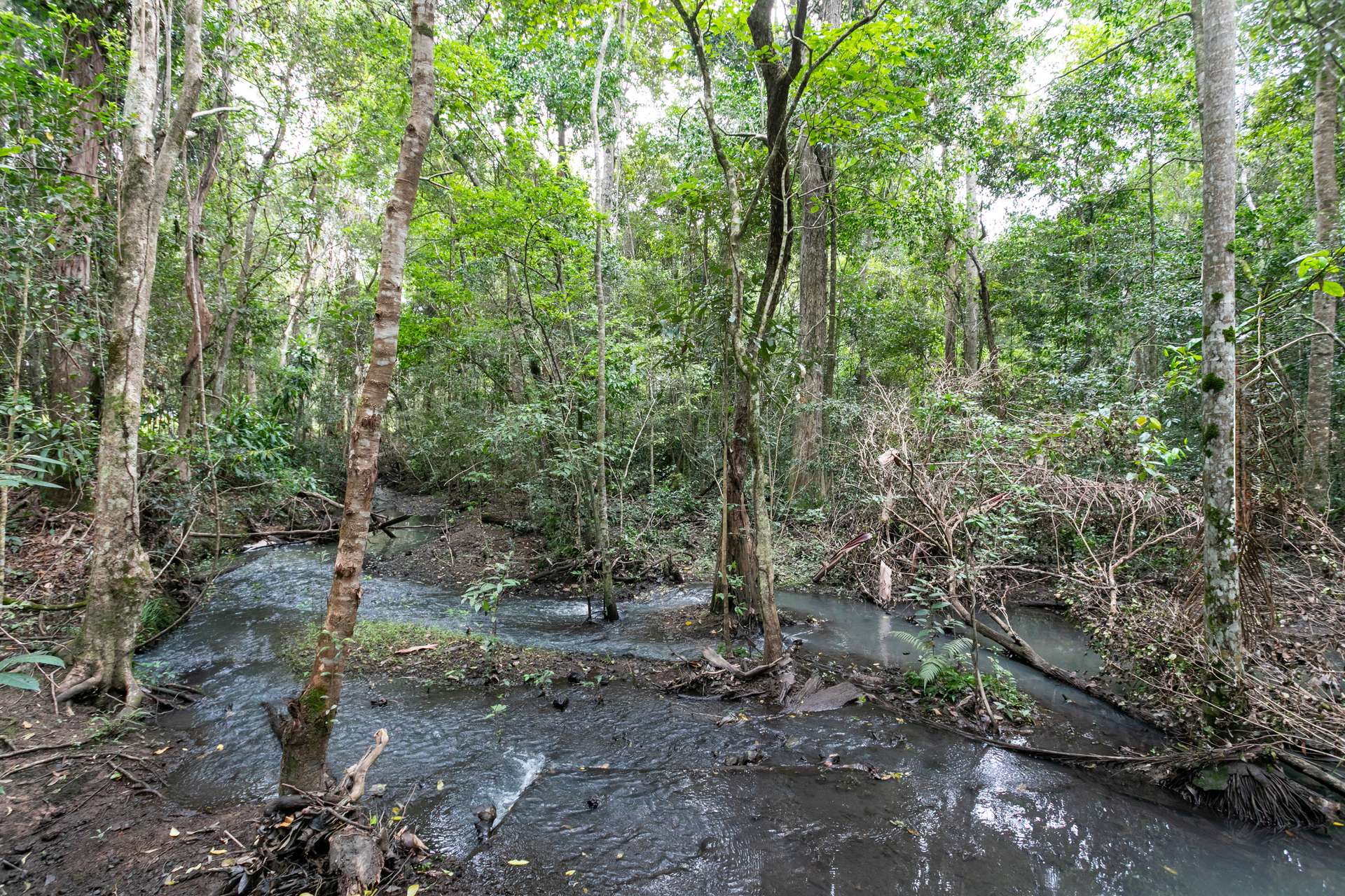 46 Knobby Glen Road, Kandanga For Sale by Farmbuy.com - image 29