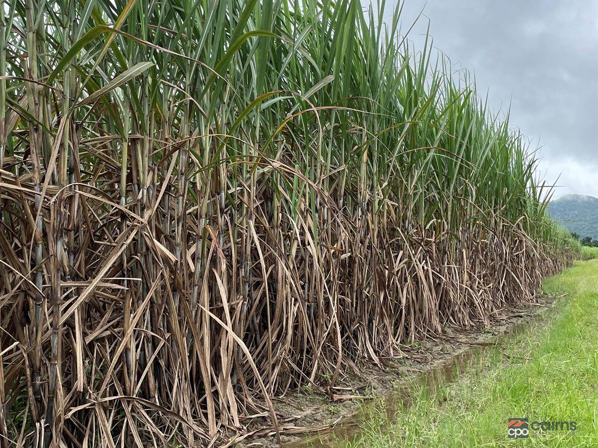 101 Bruce Highway, Bellenden Ker For Sale by Farmbuy.com - image 16