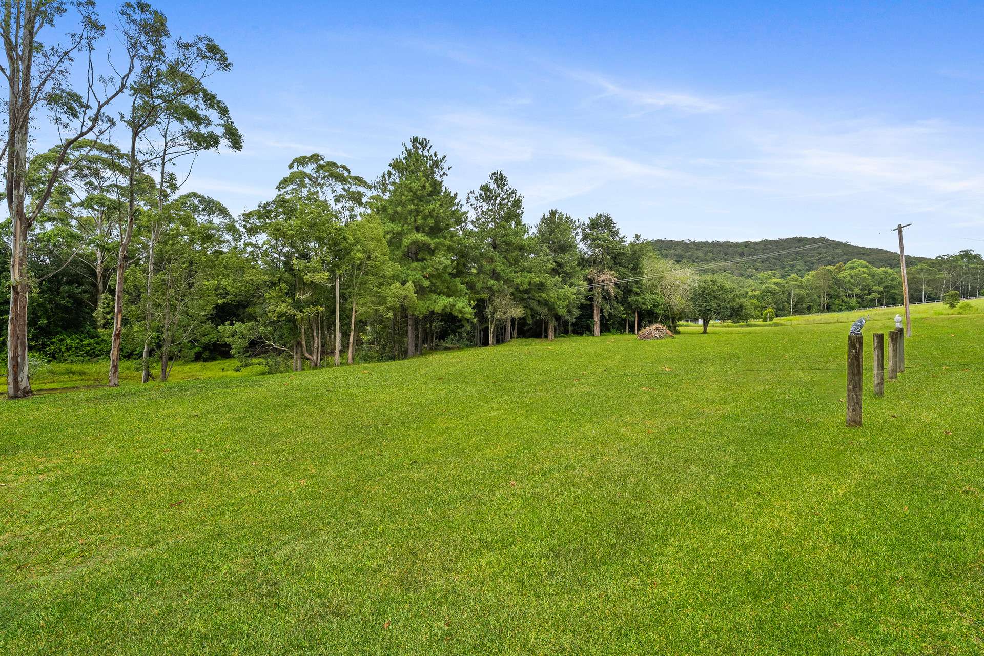 68 Watagan Forest Drive, Jilliby For Sale by Farmbuy.com - image 6