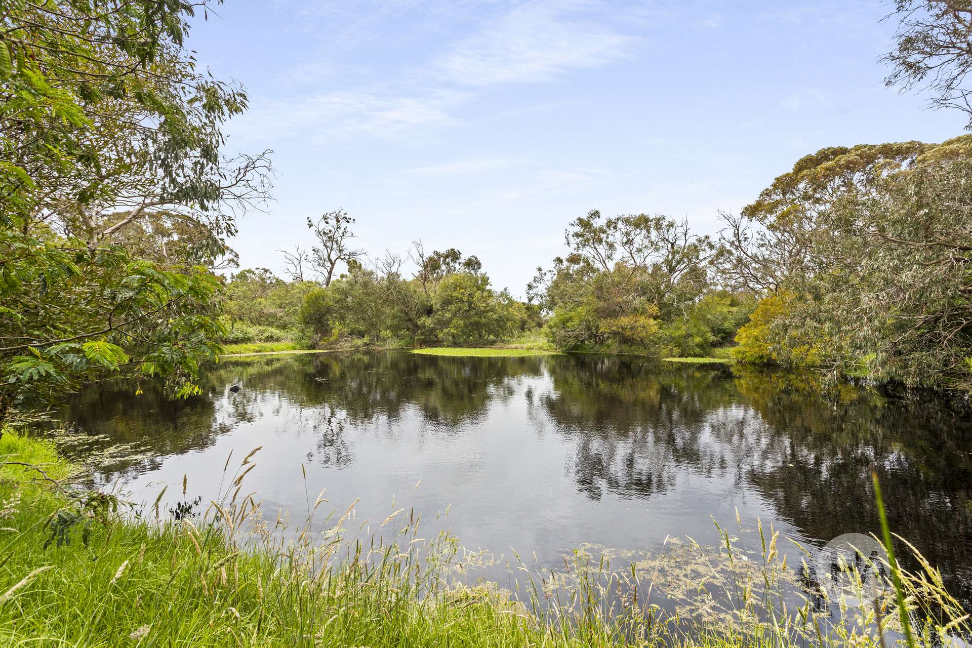 575 Baxter Tooradin Road, Langwarrin South For Sale by Farmbuy.com - image 2