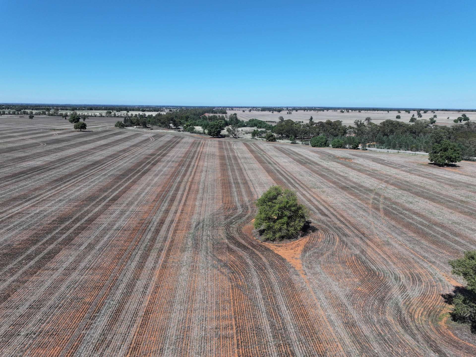 Shannonvale & Elmore Strontian Road, Boree Creek For Sale by Farmbuy.com - image 18