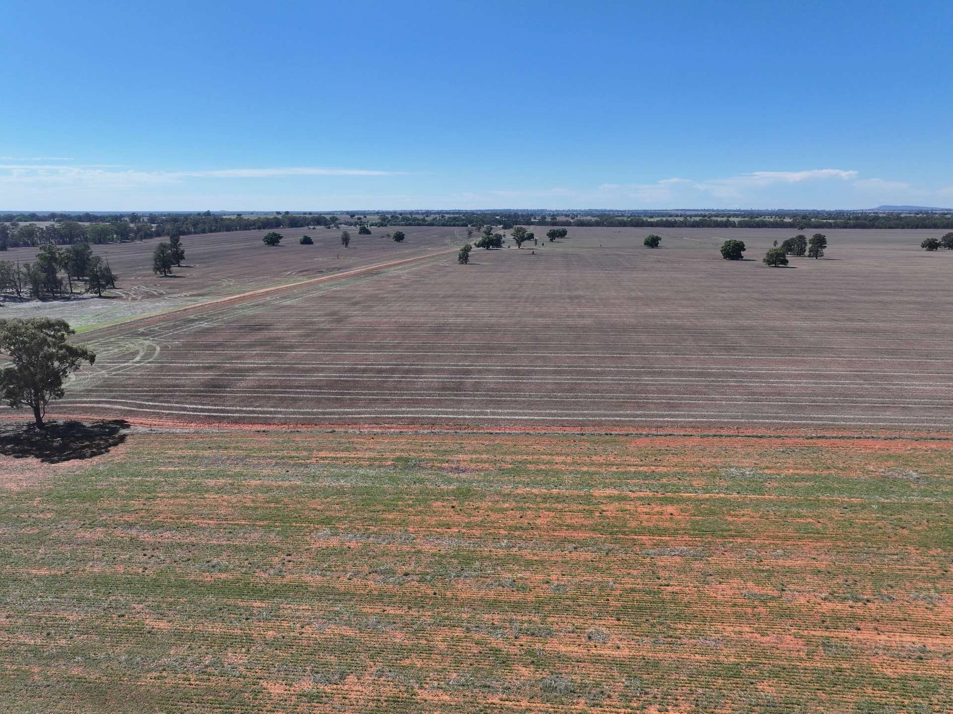 Shannonvale & Elmore Strontian Road, Boree Creek For Sale by Farmbuy.com - image 7