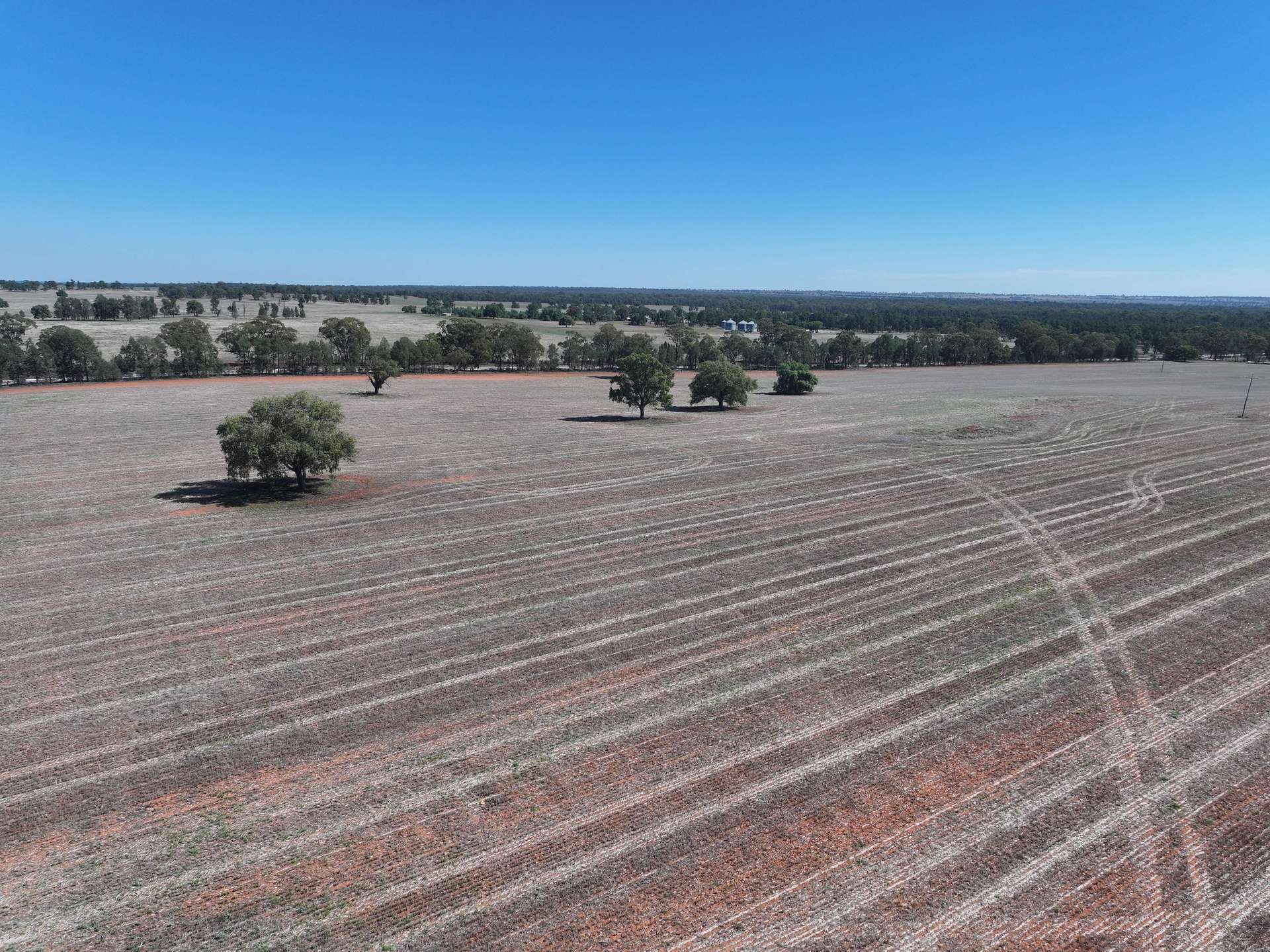 Shannonvale & Elmore Strontian Road, Boree Creek For Sale by Farmbuy.com - image 17