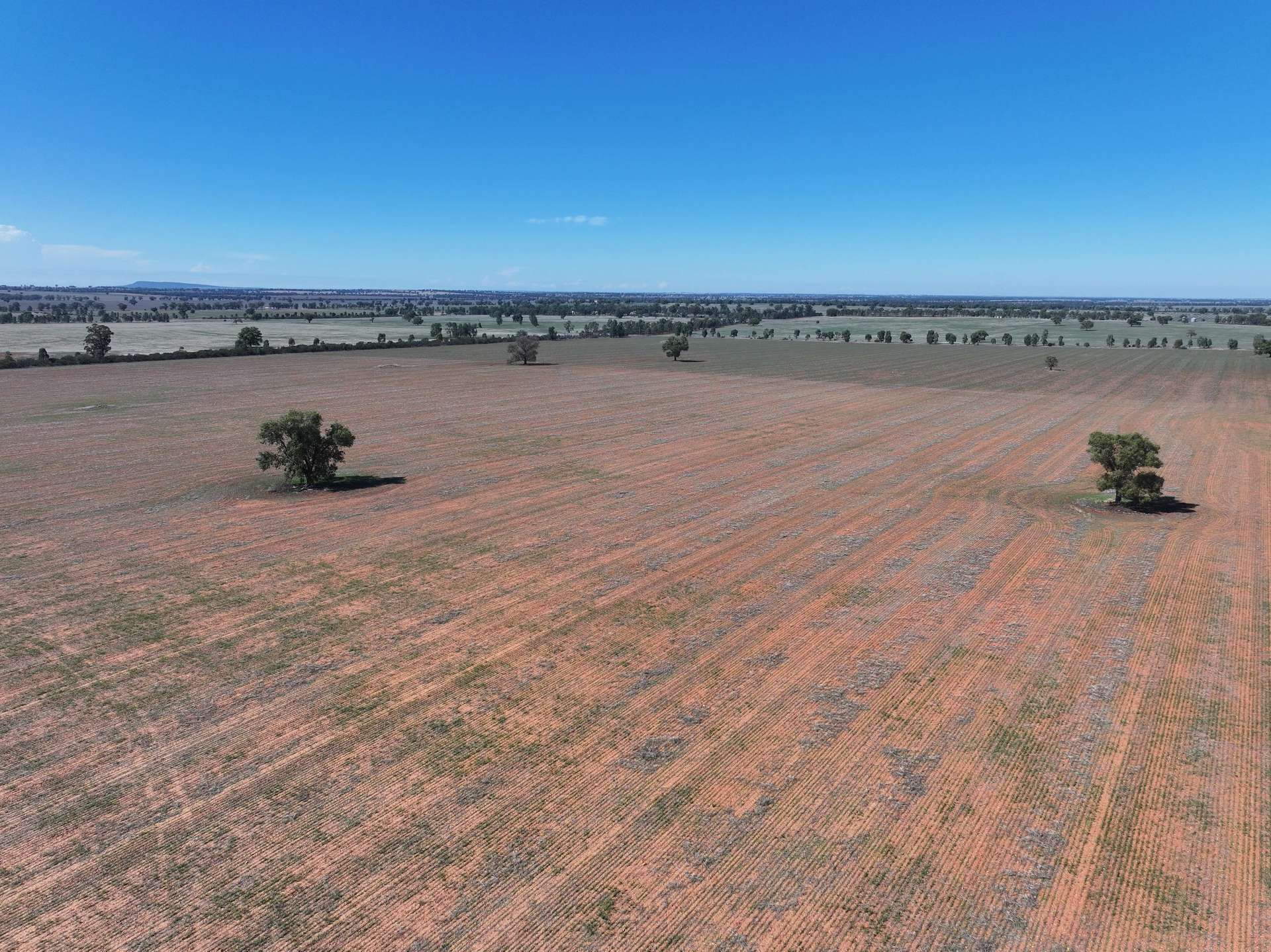 Shannonvale & Elmore Strontian Road, Boree Creek For Sale by Farmbuy.com - image 15