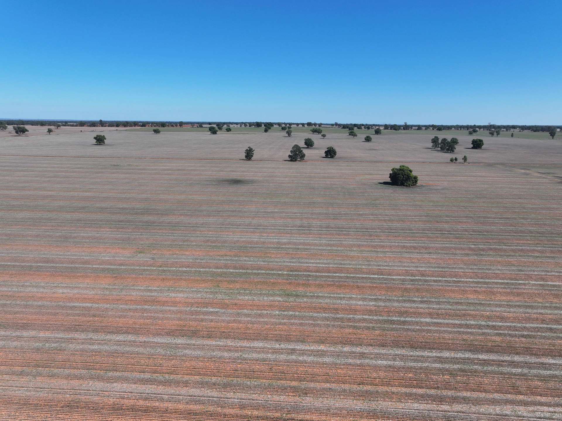 Shannonvale & Elmore Strontian Road, Boree Creek For Sale by Farmbuy.com - image 2